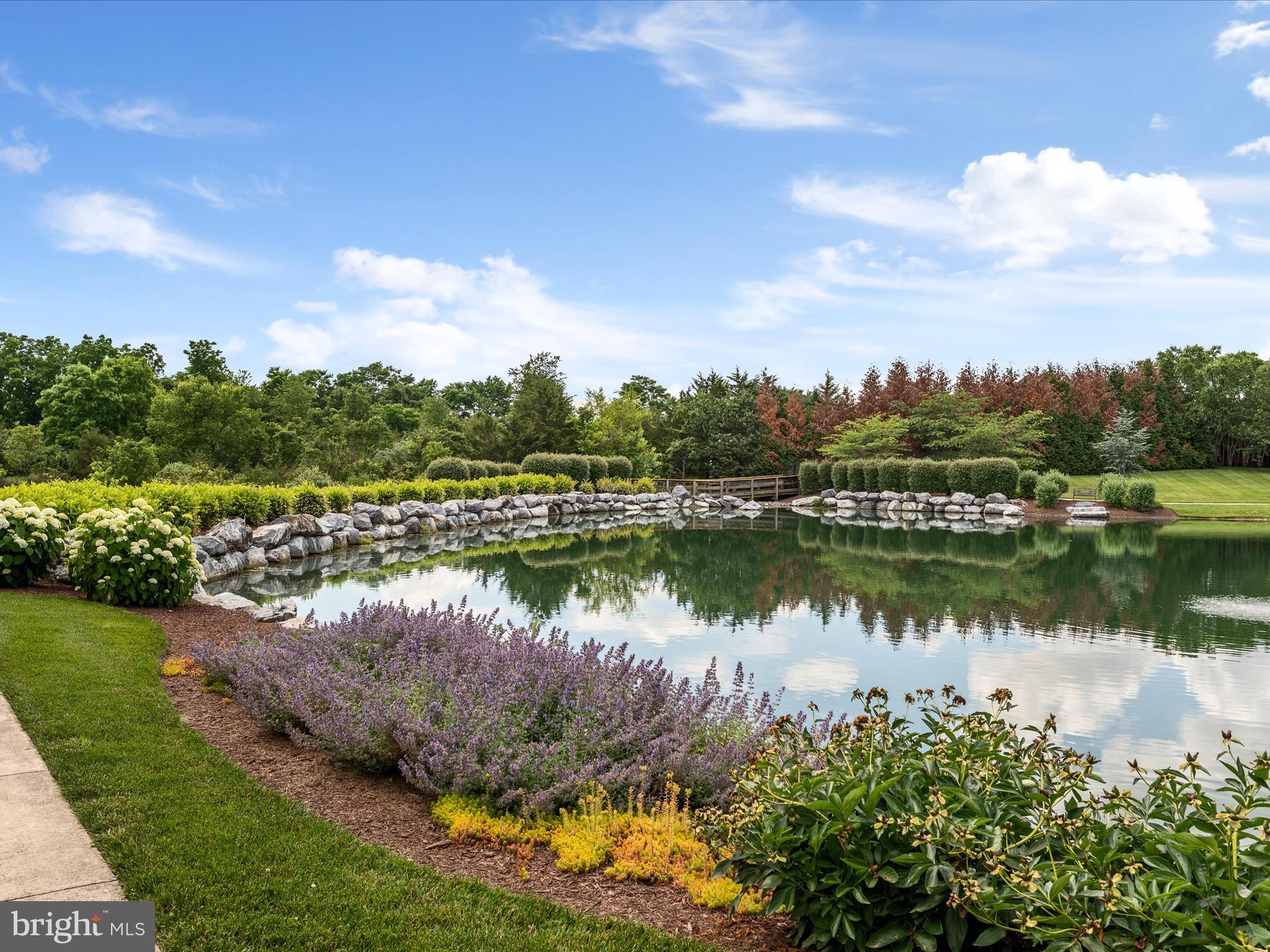 CEDAR MEADOWS - Residential