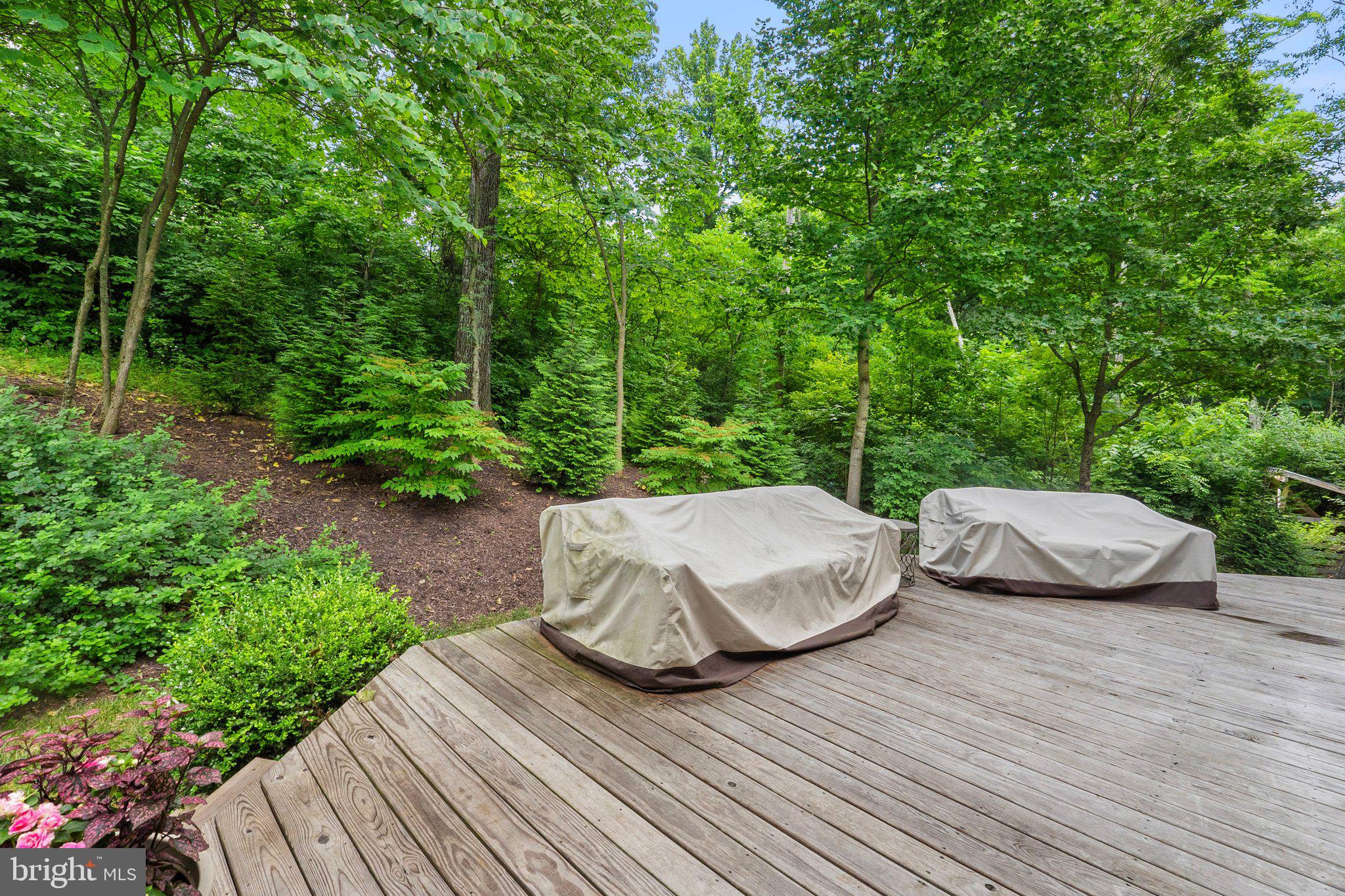 COTTONWOOD - Residential