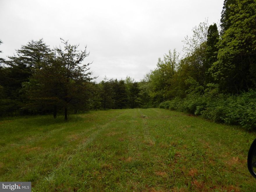 ATTENTION INVESTORS 2 UNRESTRICTED parcels, totaling 24.949 AC adjoining the new hospital land. Ideal location to build your dream home, or establishing a farm to go back to living off the land. The possibilities are endless! County road frontage, just 2 miles from downtown Berkeley Springs and 4 miles from Interstate 70. Would be septic and could either have town water or drill a well.