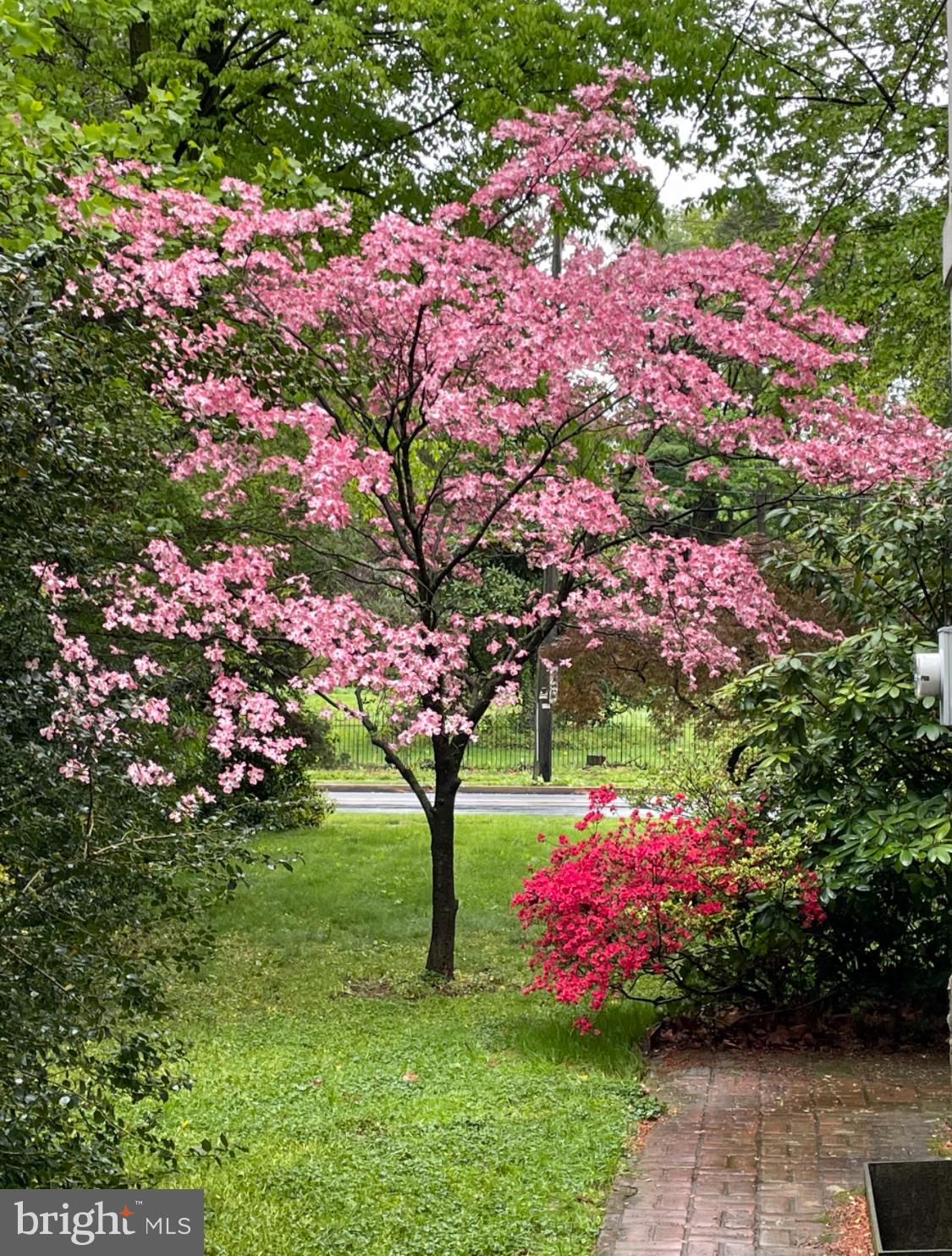 SCHOOL LANE HILLS - Residential