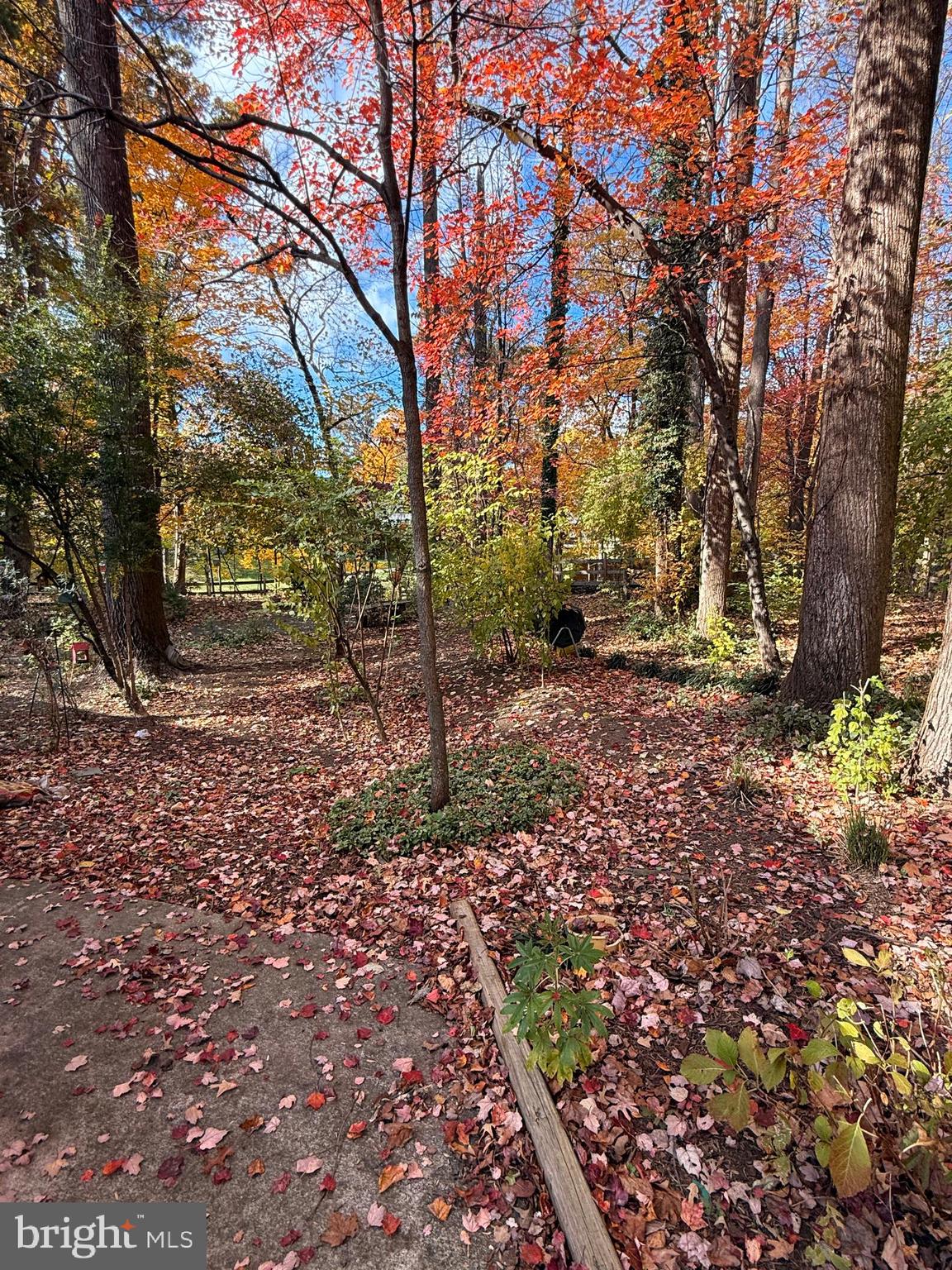 LAKE NORMANDY ESTATES - Residential