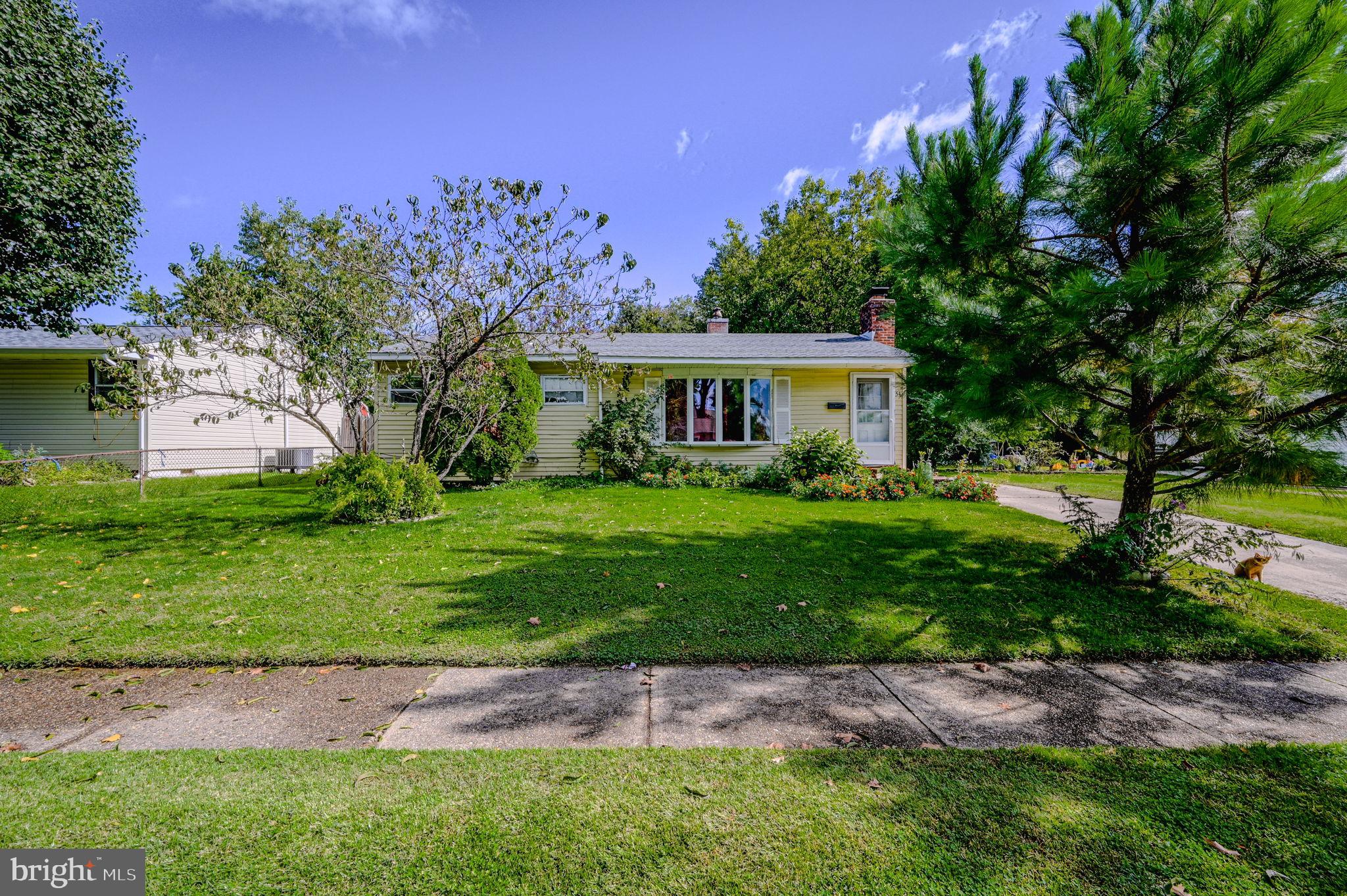 54 ST JOHN DRIVE
