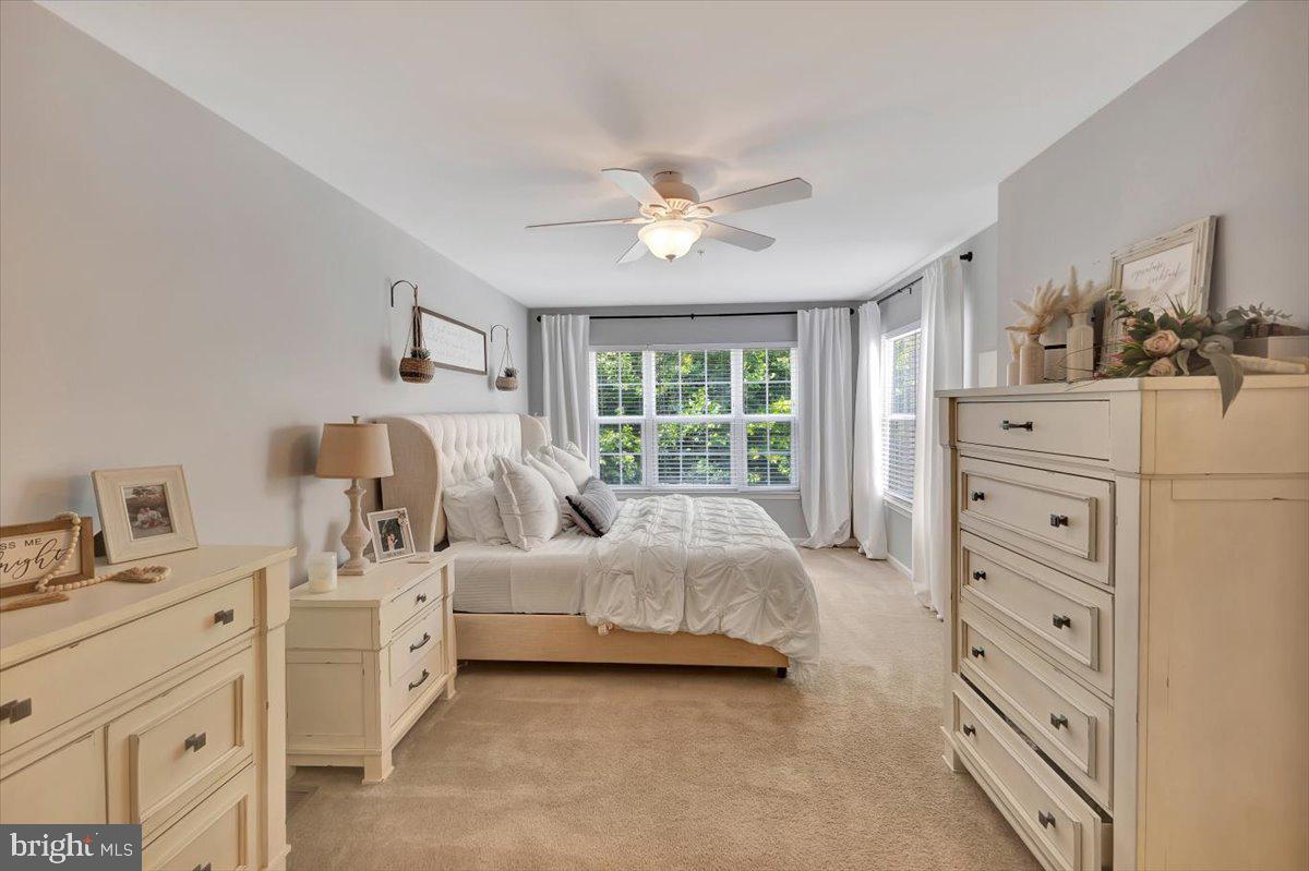 HOLLY WOODS - Residential