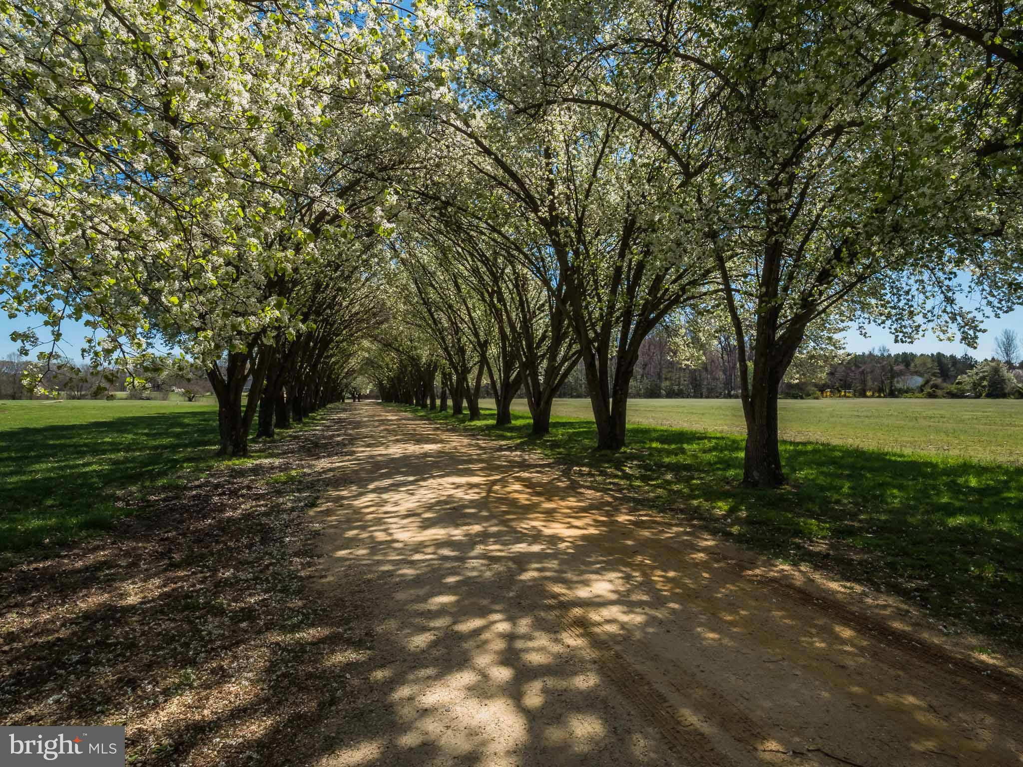 HUNTING CREEK ESTATES - Farm