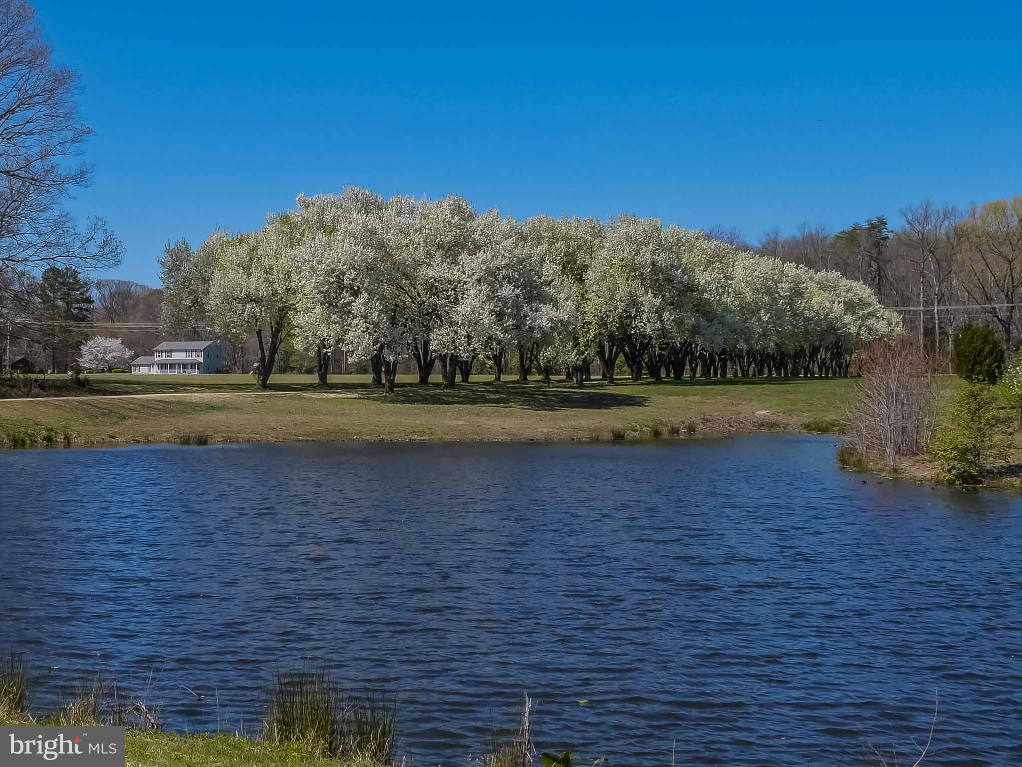 HUNTING CREEK ESTATES - Farm
