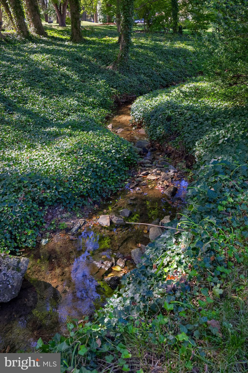 BROCKIE - Residential