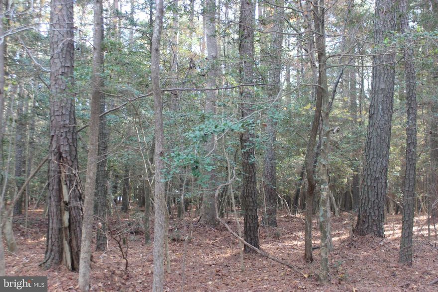 4/2033 This lot is in a highly sought after area of Captains Cove that backs to a Common area giving more privacy and just a short ride to all the amenities Captains Cove has to offer. Cert Letter on File for 3BR and has water availability. Buy now and build later, take advantage of this great buy! No time frame to build, and no builder tie-in. Enjoy the lifestyle on the Eastern Shore of VA. Captain’s Cove is the Eastern Shore of Virginia’s fastest growing Golf & Waterfront community; close to Chincoteague Island, Wallops Island and Ocean City MD. HOA amenities: Pristine 9 Hole Golf Course, indoor/outdoor pools (2), fitness center, basketball, tennis & pickle-ball courts, boat ramp, docks, playground, walking & biking trails, dog park, security and so much more.