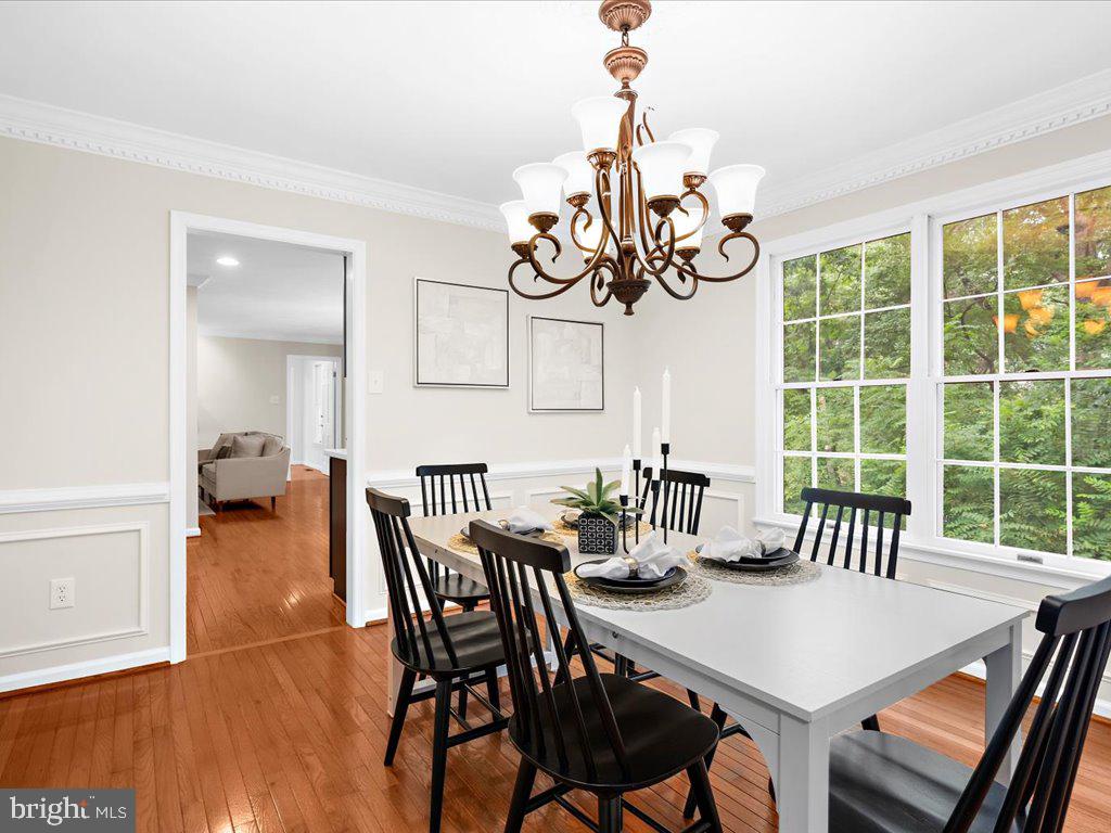 DORSEY SEARCH - Residential