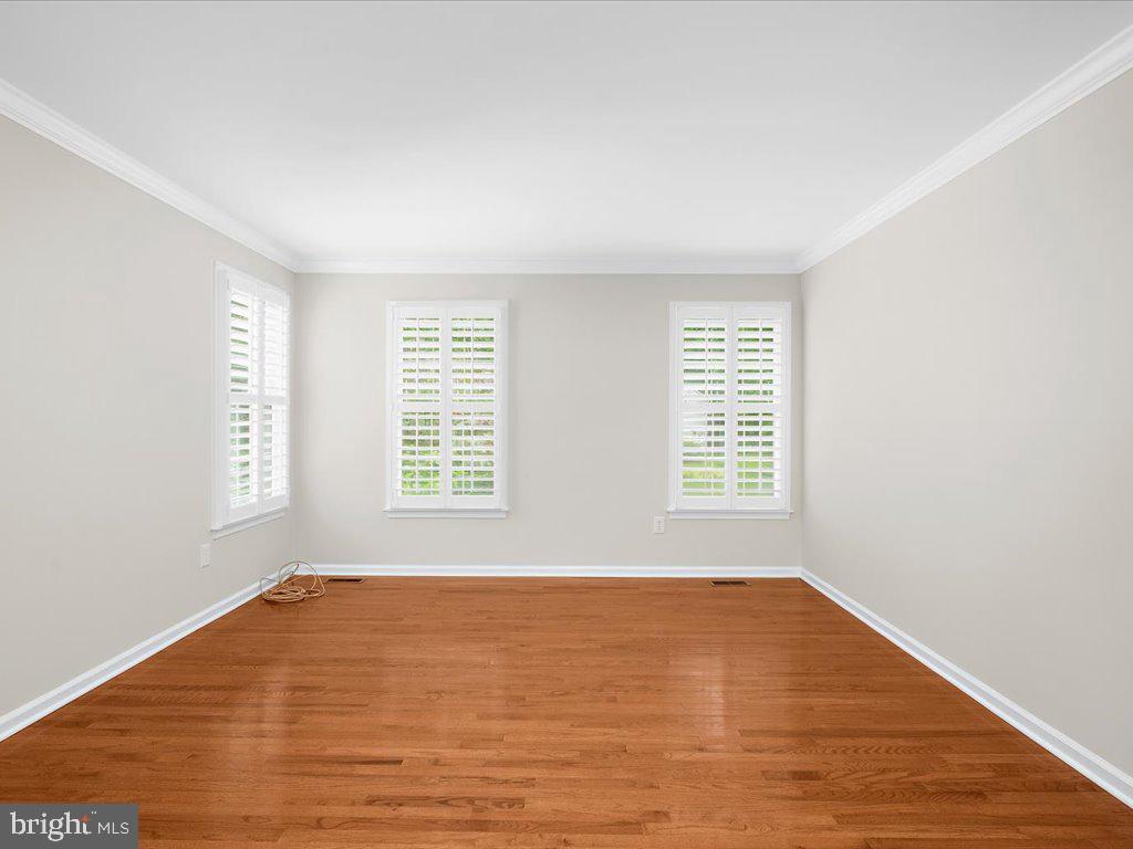 DORSEY SEARCH - Residential