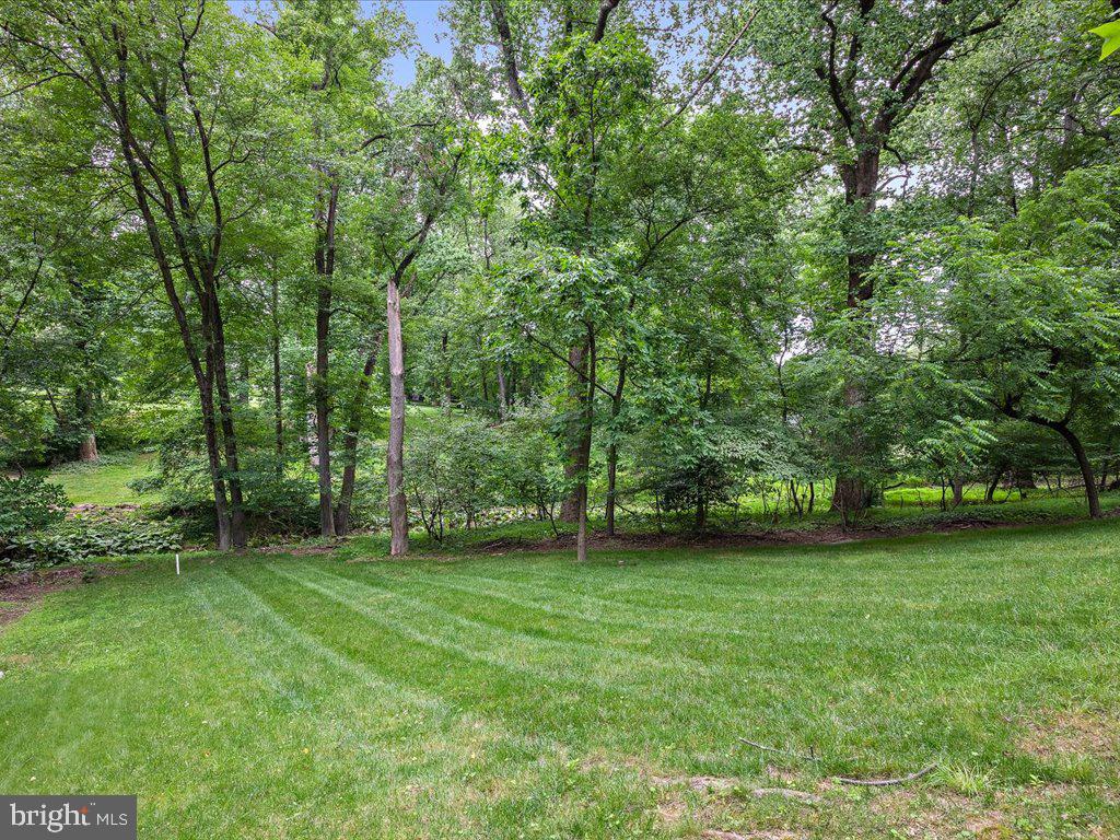 DORSEY SEARCH - Residential