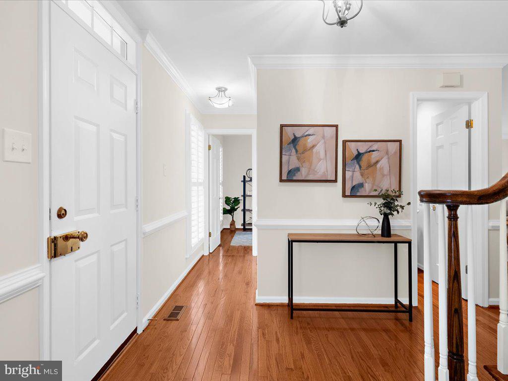 DORSEY SEARCH - Residential