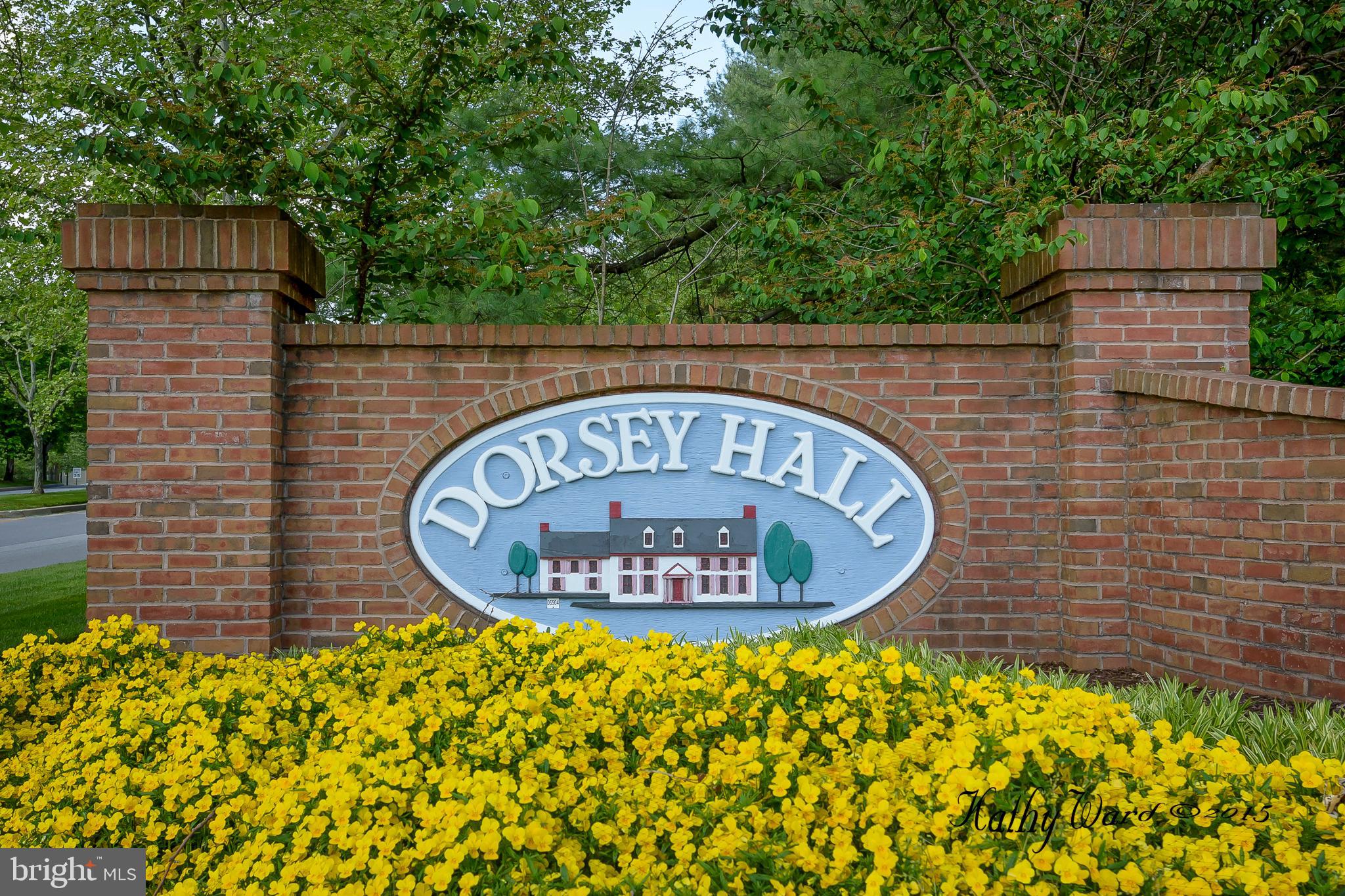 DORSEY SEARCH - Residential