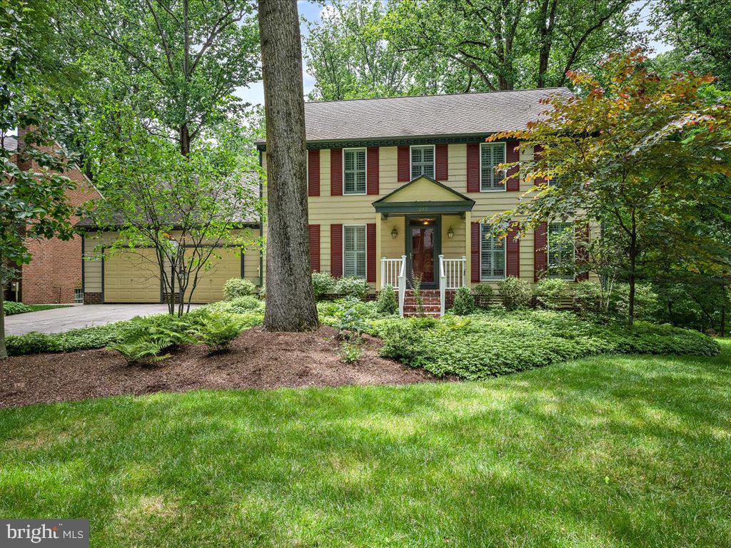 DORSEY SEARCH - Residential