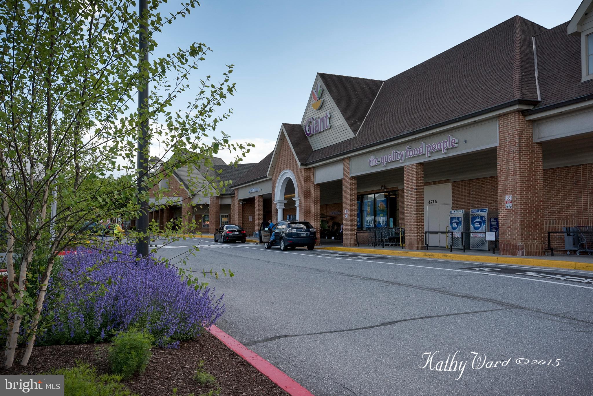 DORSEY SEARCH - Residential