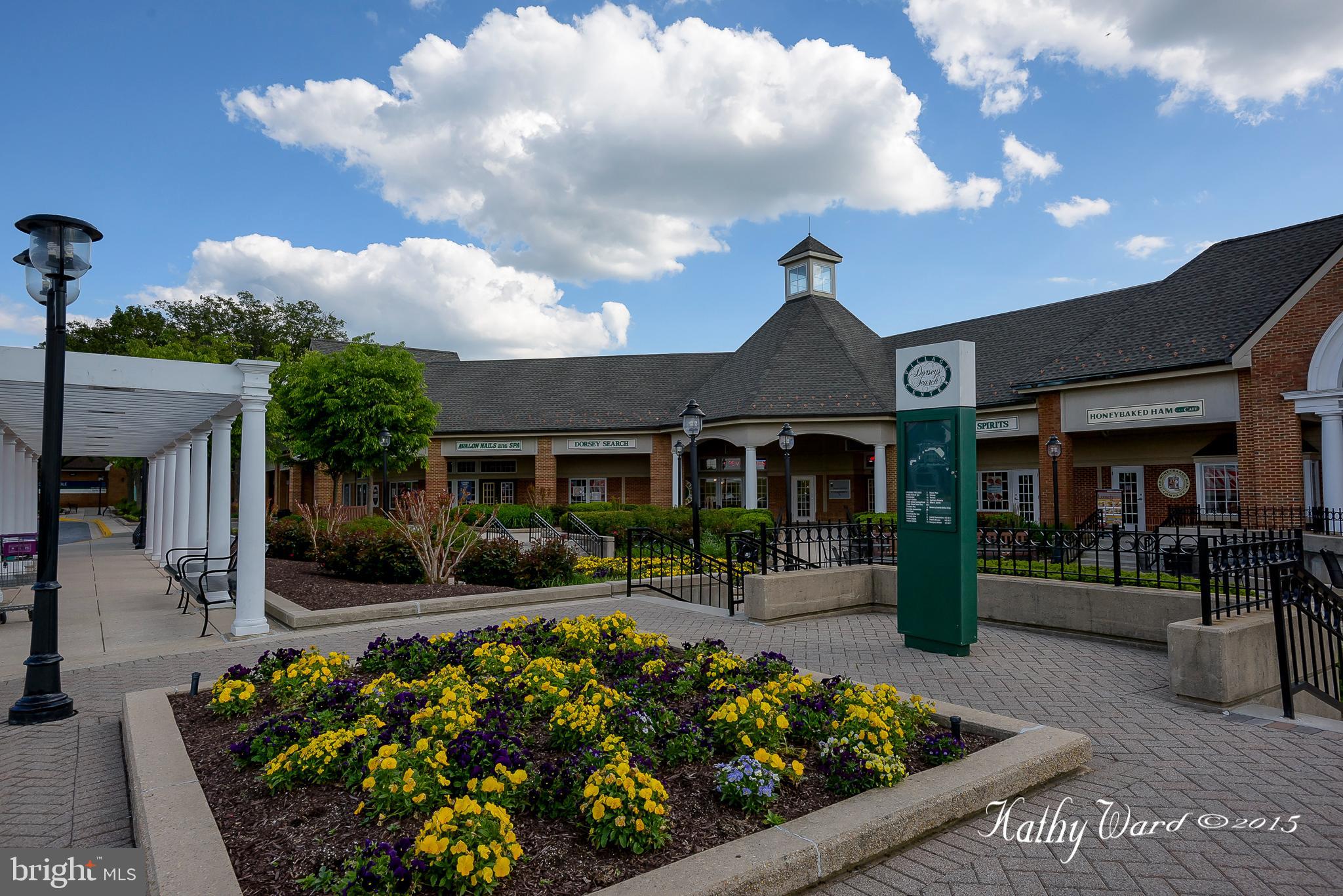 DORSEY SEARCH - Residential