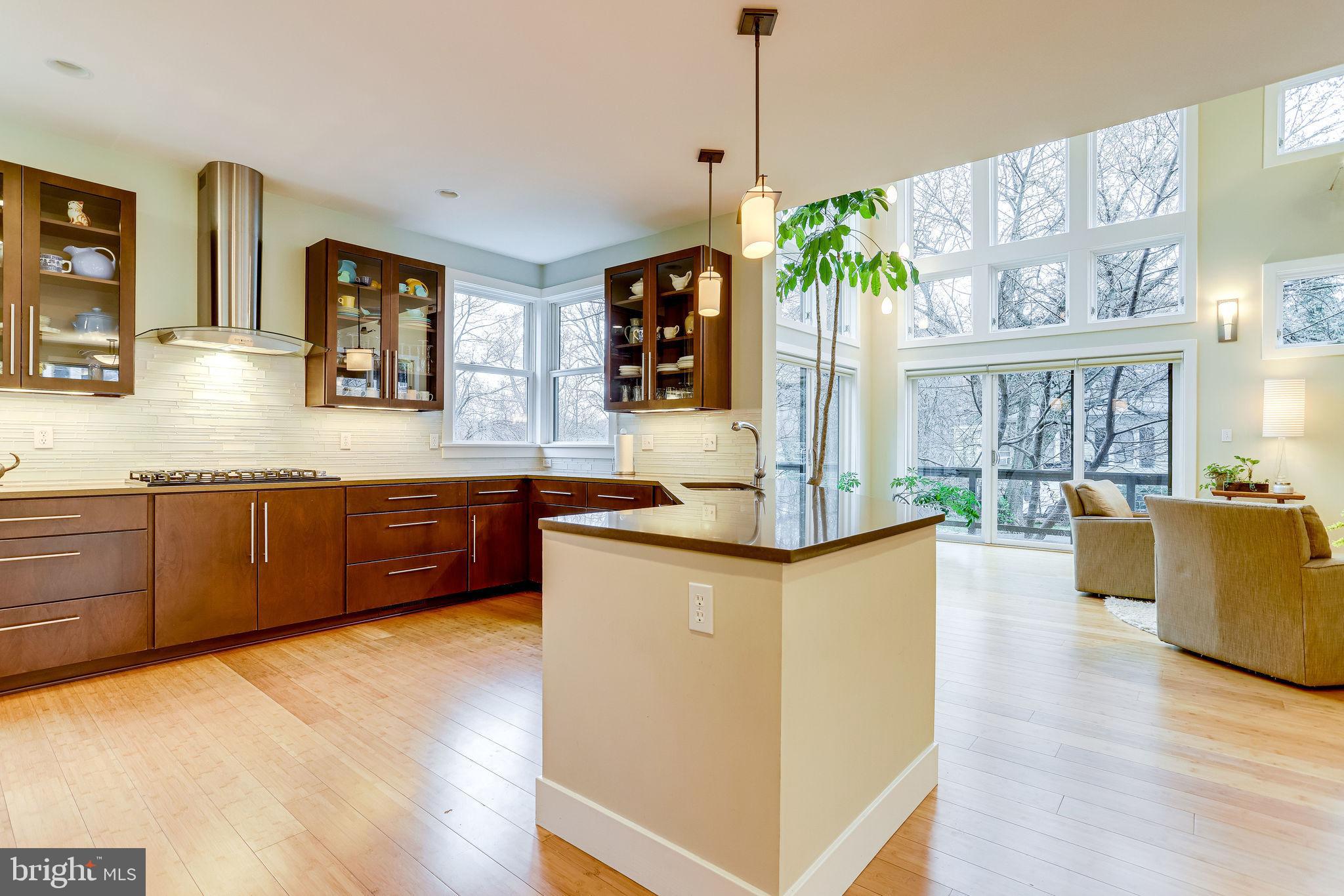 EAST FALLS CHURCH - Residential