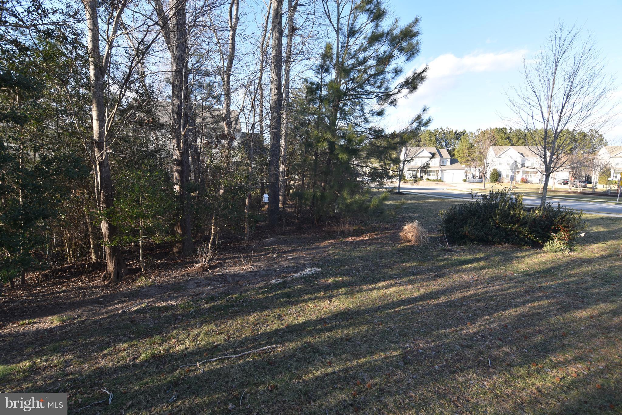 PRIMROSE PARK AT WILDEWOOD - Residential