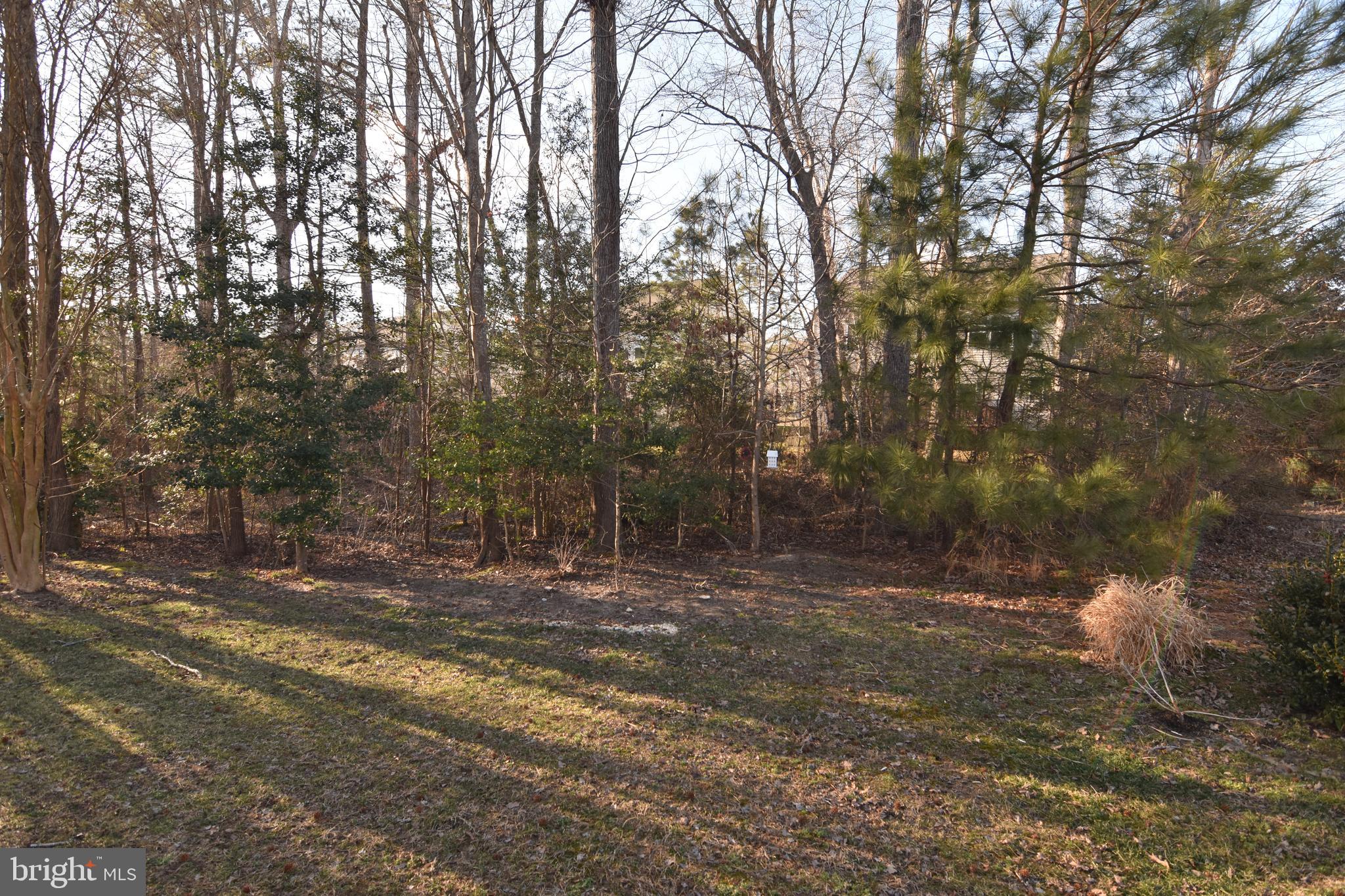 PRIMROSE PARK AT WILDEWOOD - Residential