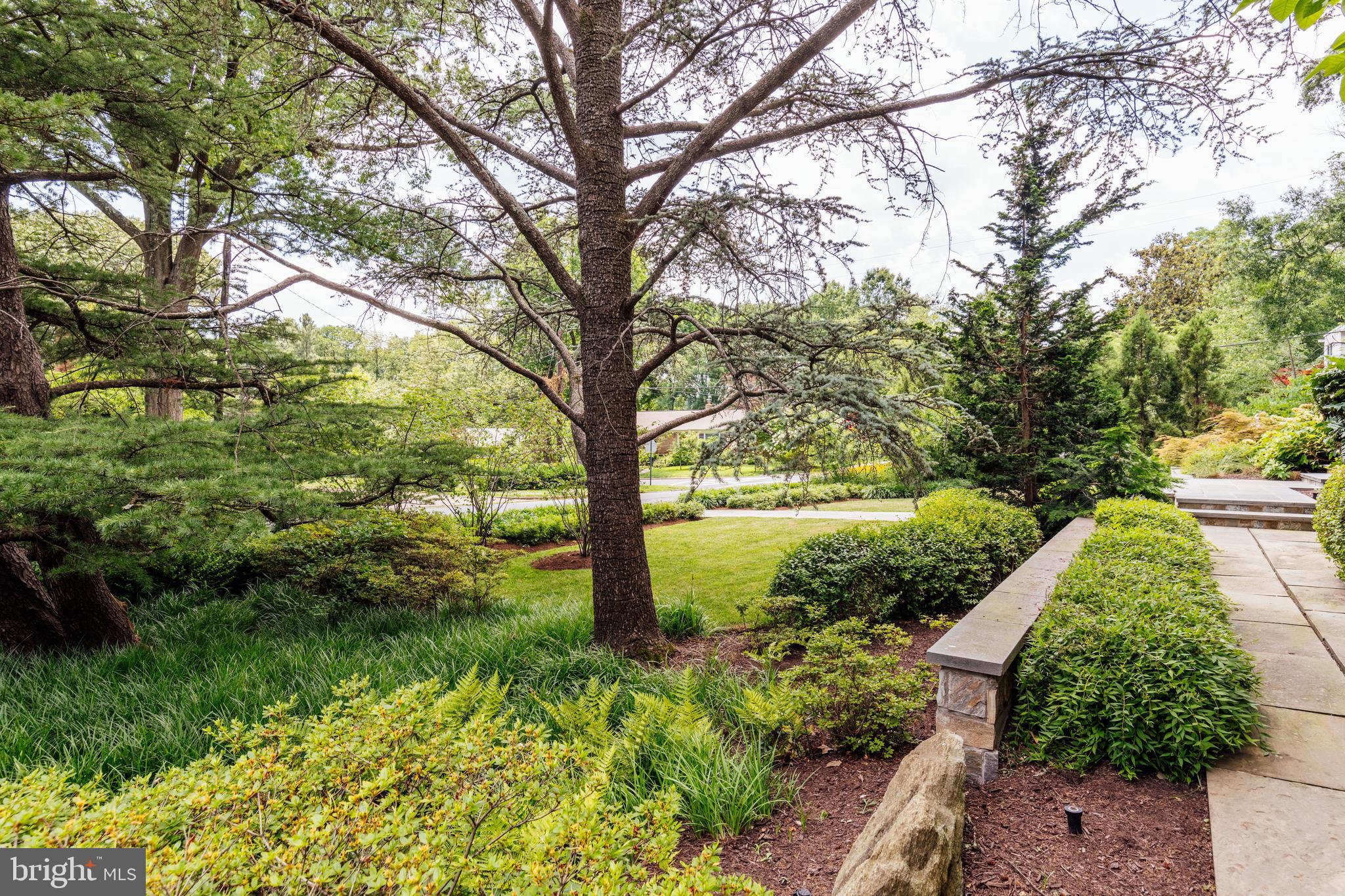 COLLEGE PARK - Residential