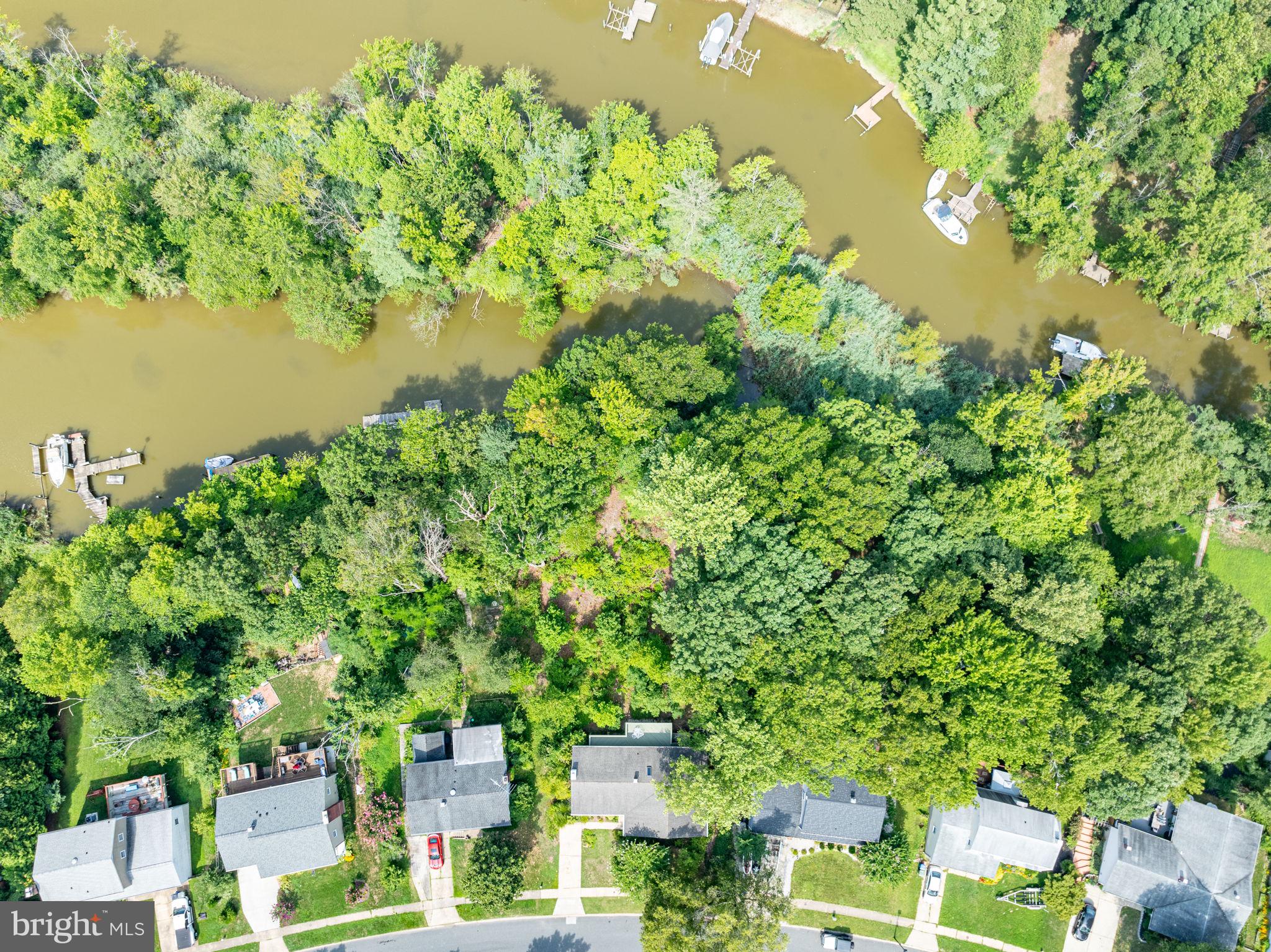 FOSTER BRANCH - Residential