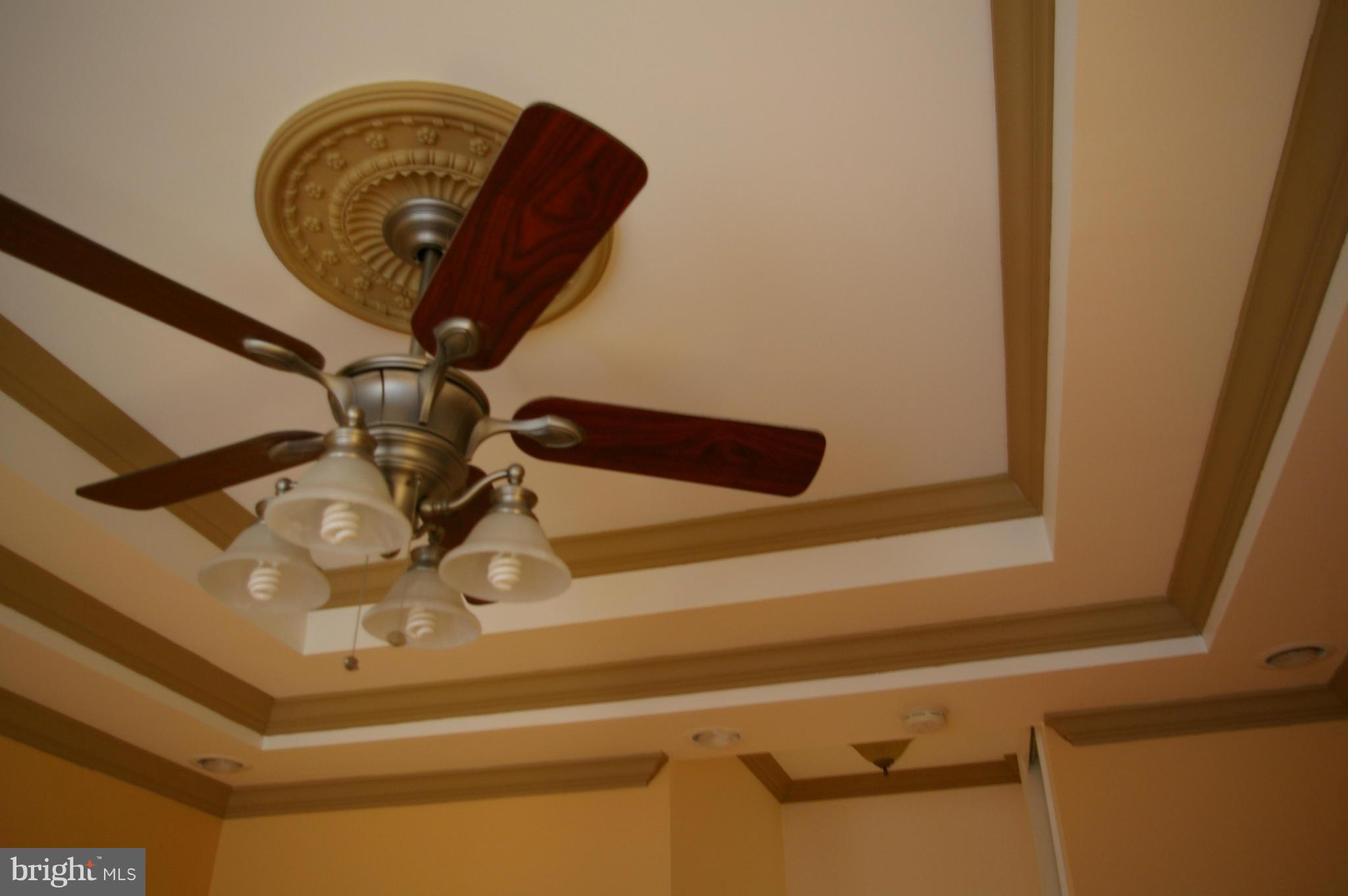 CANTON - Residential Lease