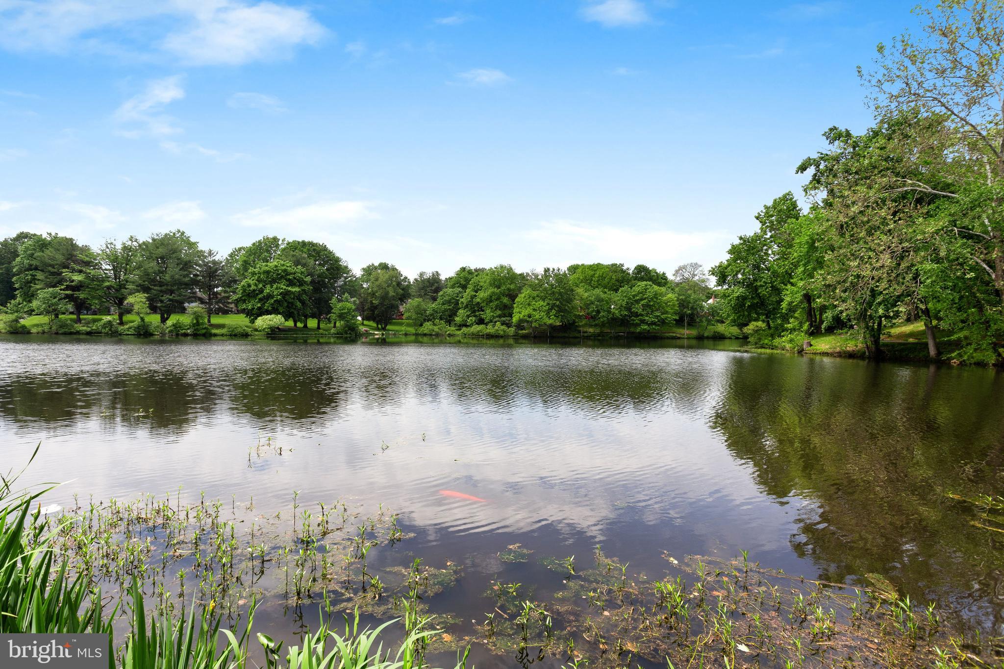 LAKE BRADDOCK - Residential