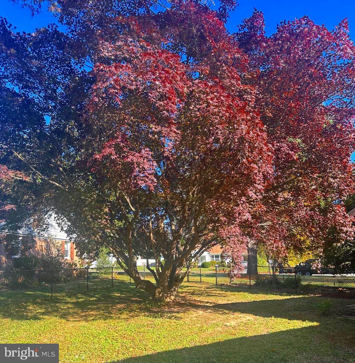 CLIFTON - Residential