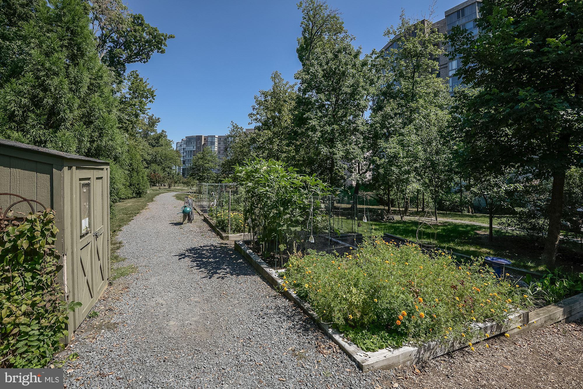 LANSDOWNE WOODS - Residential