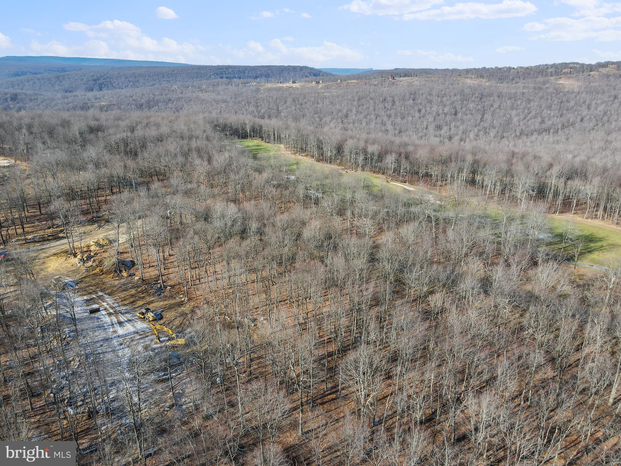 Lot 21 GREEN JACKET CT