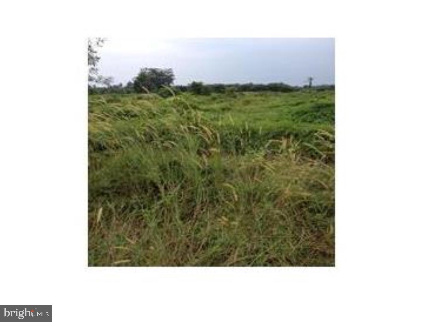 0000 UPPER RIDGE ROAD