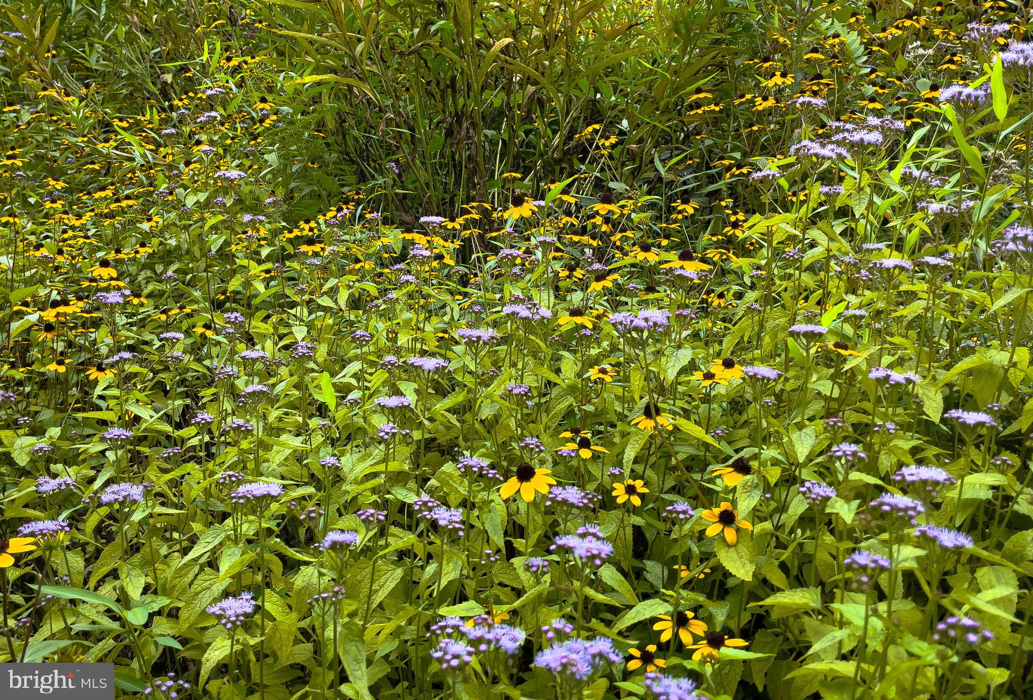 HERITAGE FARM - Residential