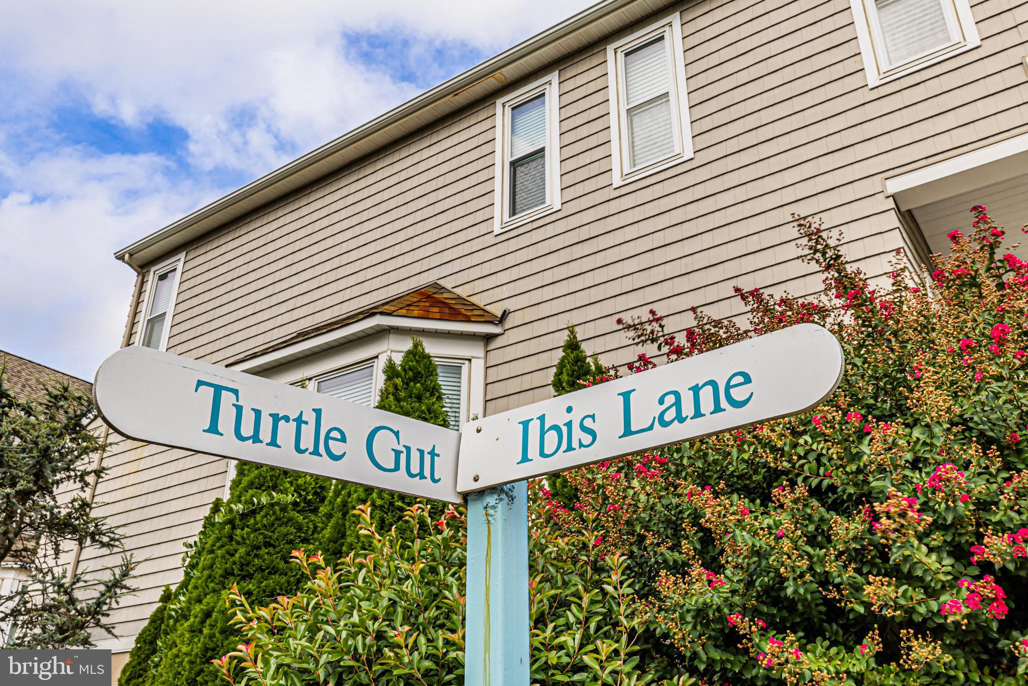 524 TURTLE GUT CIRCLE