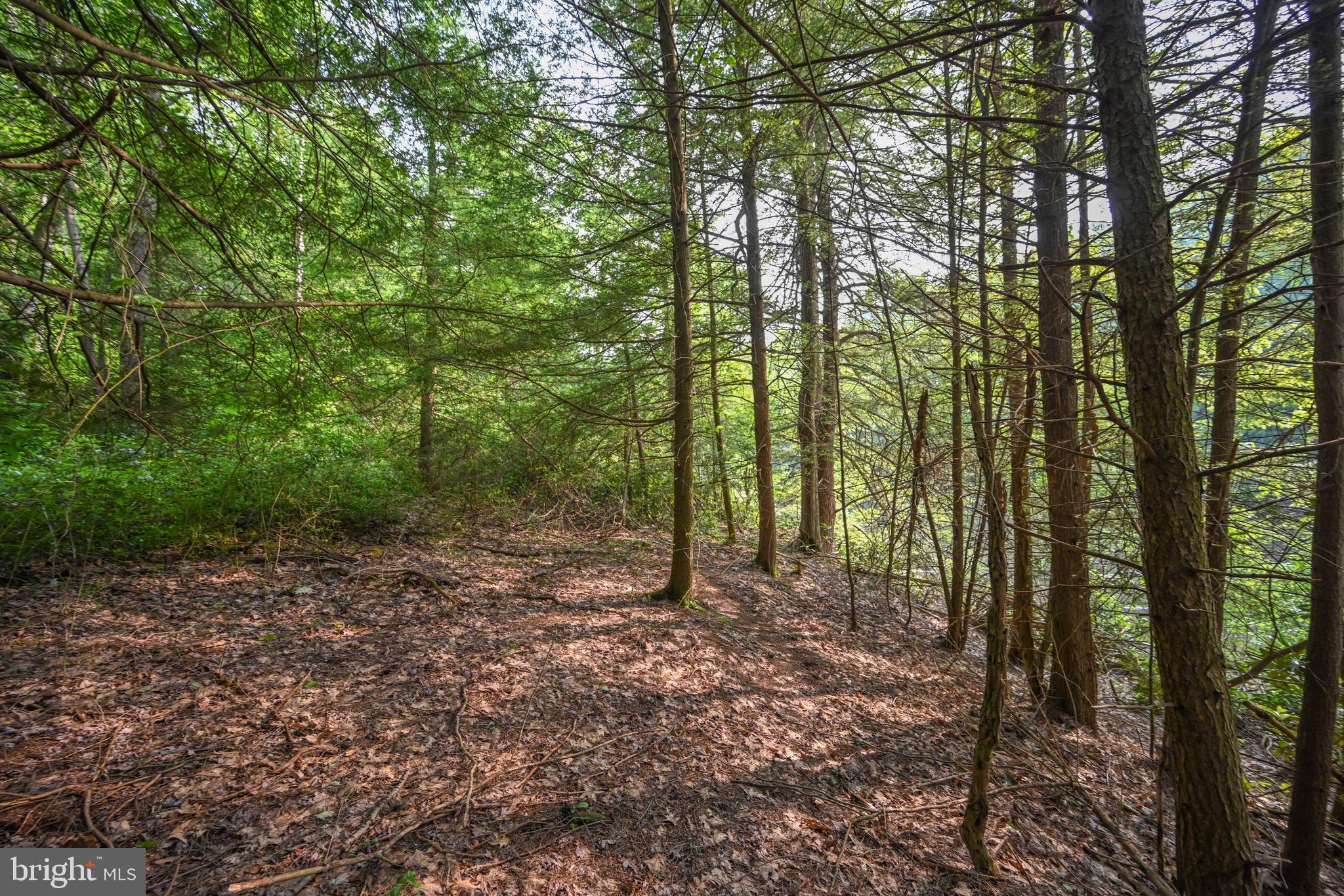 YOUGH RIVER ESTATES - Residential