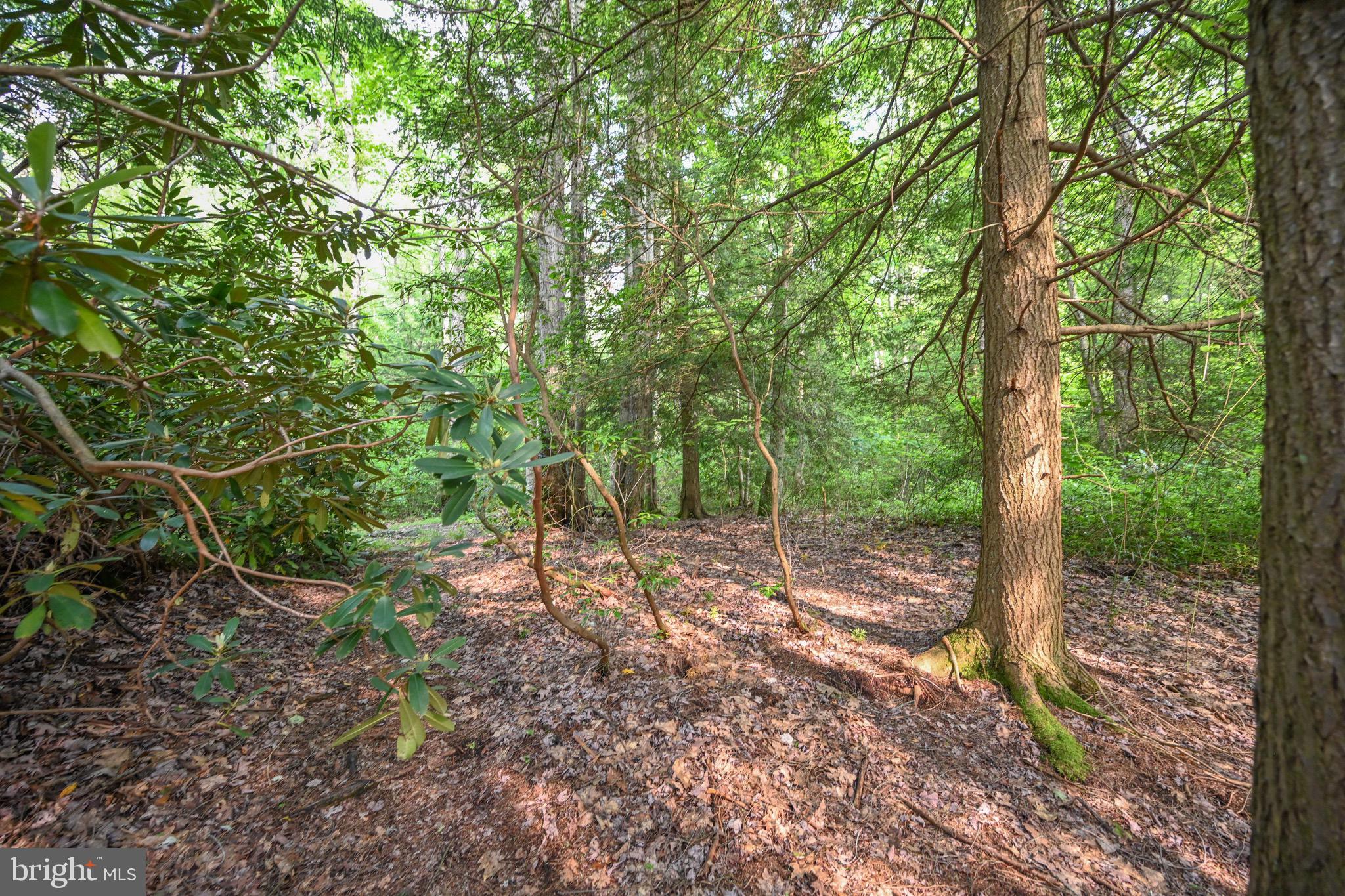 YOUGH RIVER ESTATES - Residential