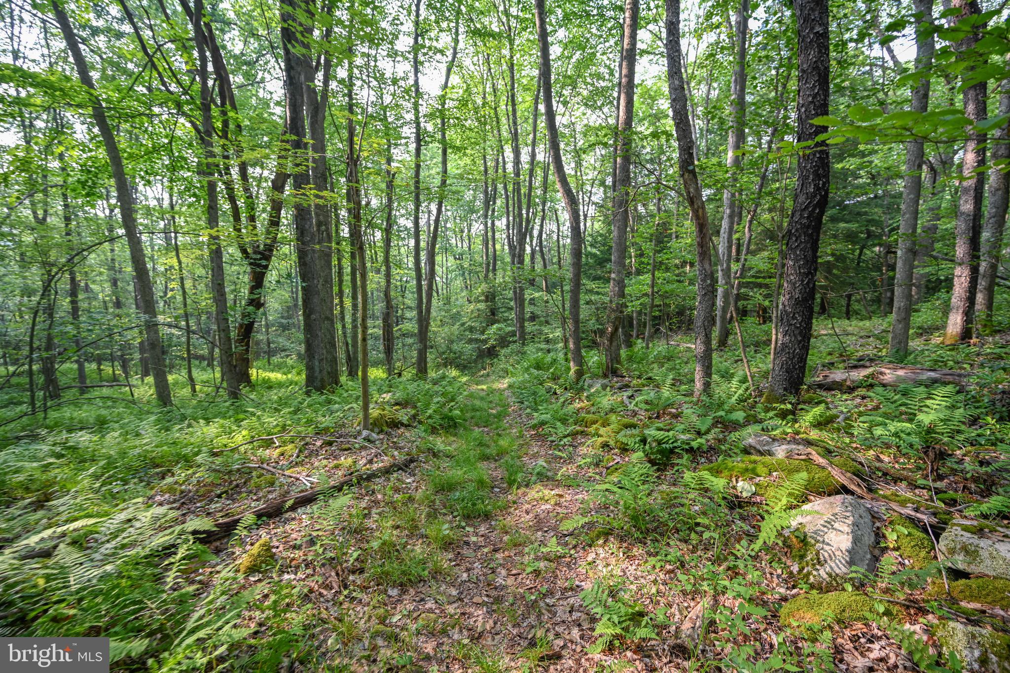 YOUGH RIVER ESTATES - Residential