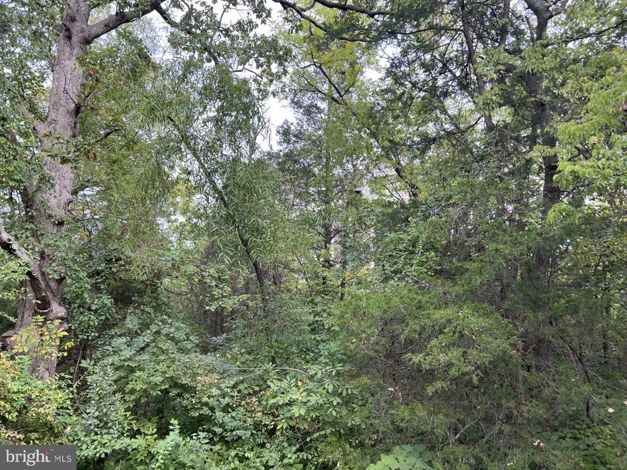 Buildable double lot close to Rt 522. Build an affordable home and be in by late Spring!