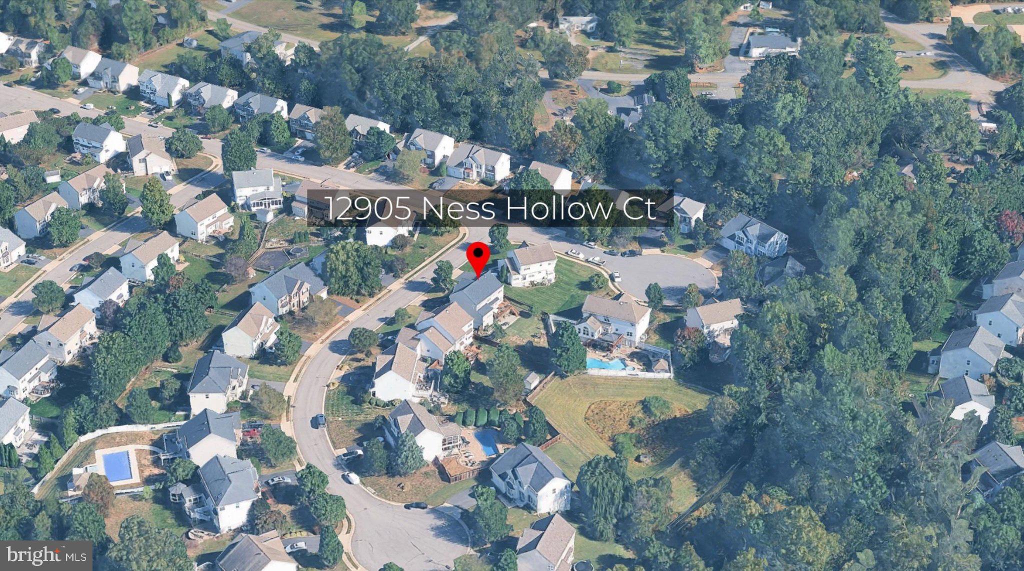 12905 NESS HOLLOW COURT