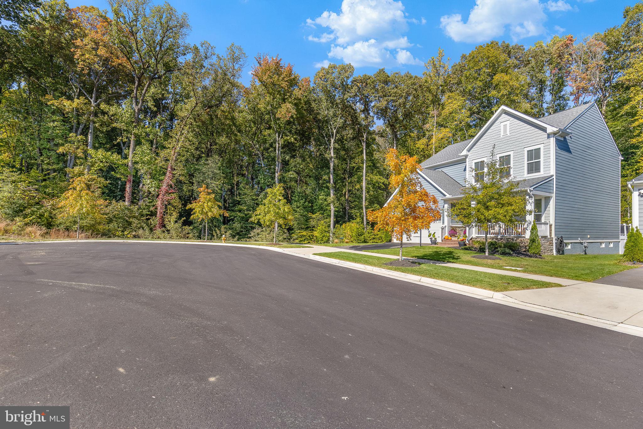 17703 WHITE CAMPION WAY