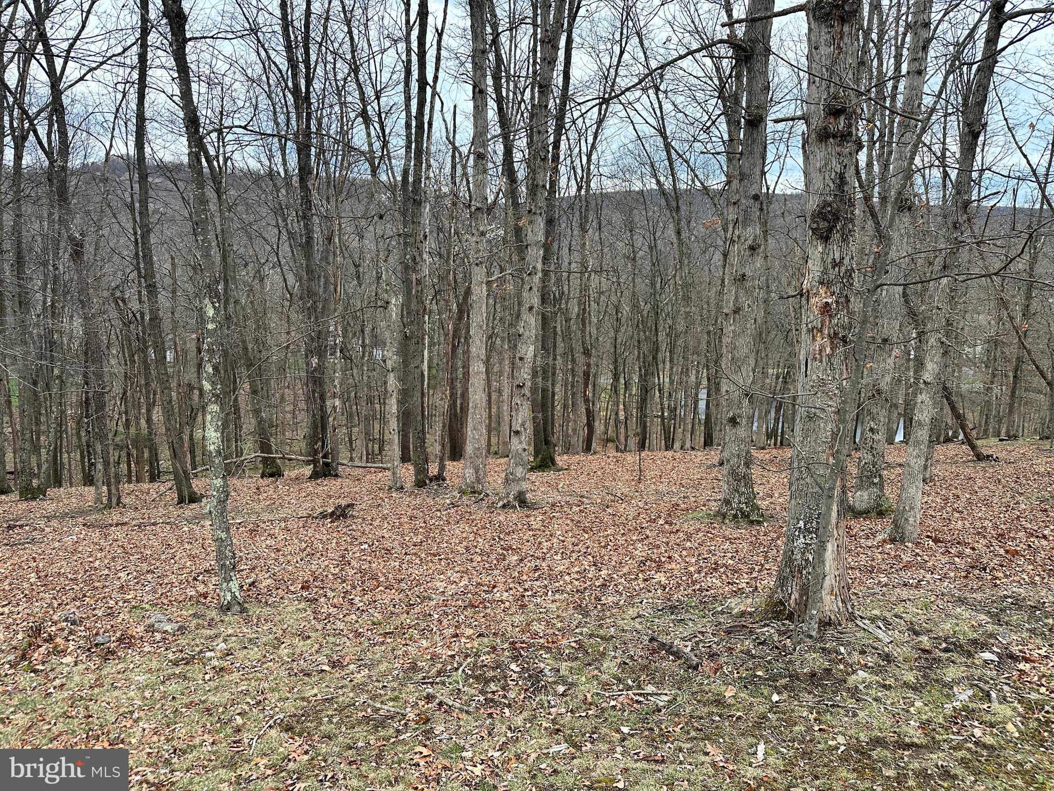 TIMBERLAKE ESTATES - LOT 37