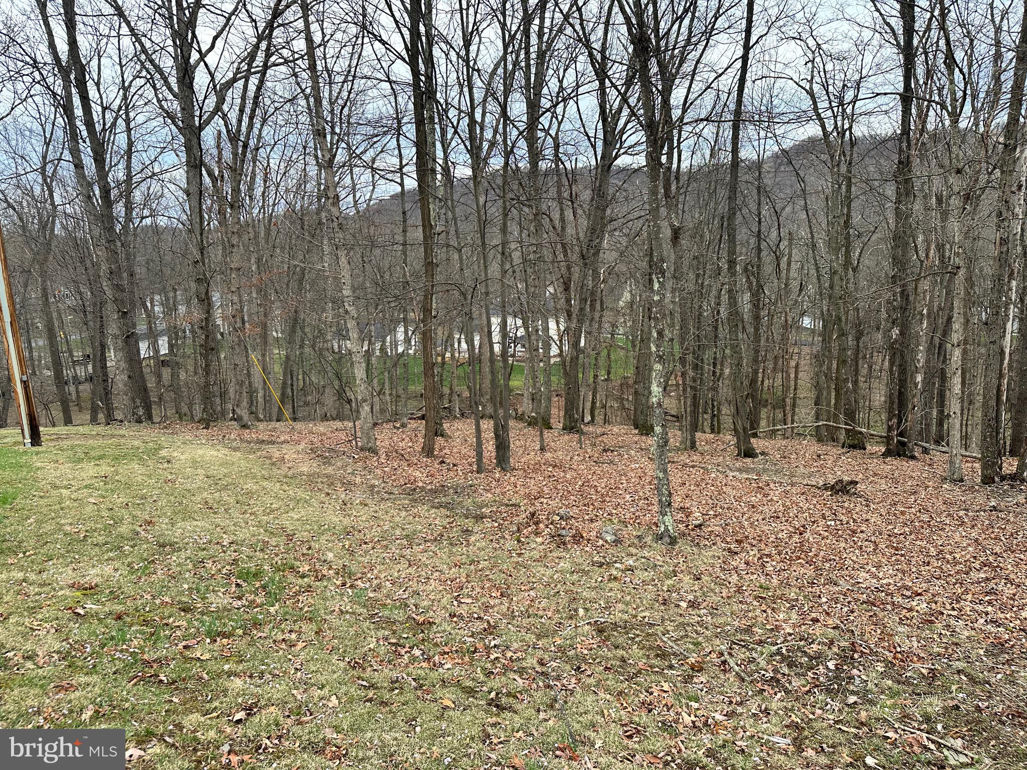 BUILD YOUR DREAM HOME IN THIS BEAUTIFUL 1.15 CORNER LOT ON THE PRESTIGIOUS TIMBERLAKE ESTATES SUBDIVISION IN NEW CREEK, WV. FULLY WOODED. SMALL DRAINAGE CREEK. LEVEL TO GENTLY SLOPED TOPOGRAPHY. SENSIBLE COVENANTS. ONLY $46,900
