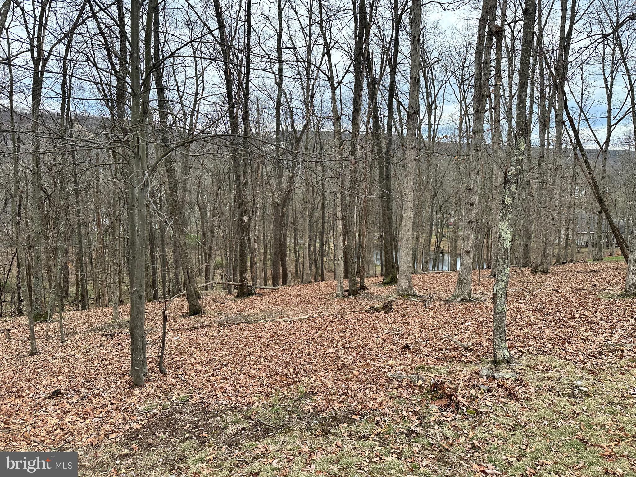 TIMBERLAKE ESTATES - Land