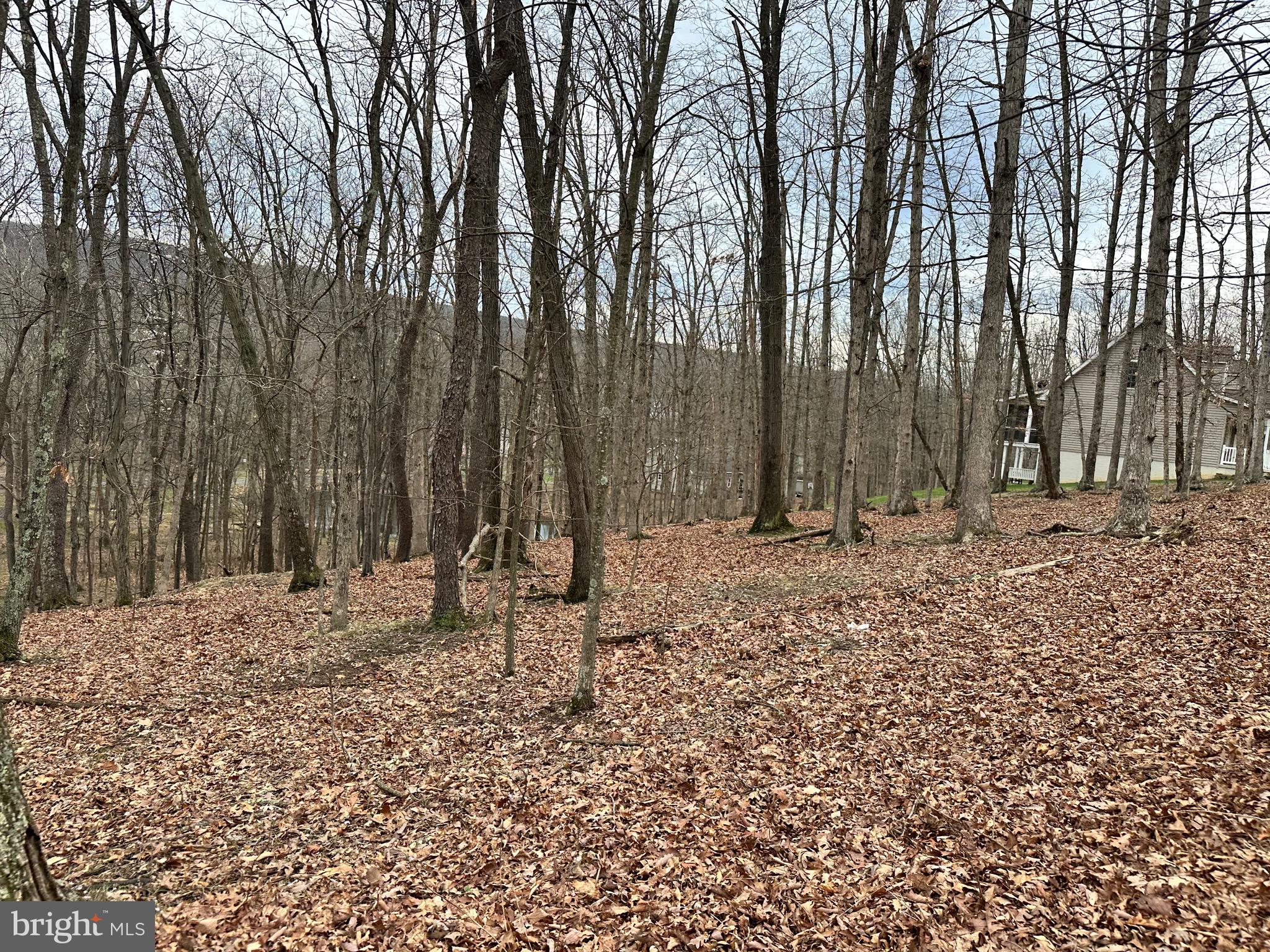 TIMBERLAKE ESTATES - Land