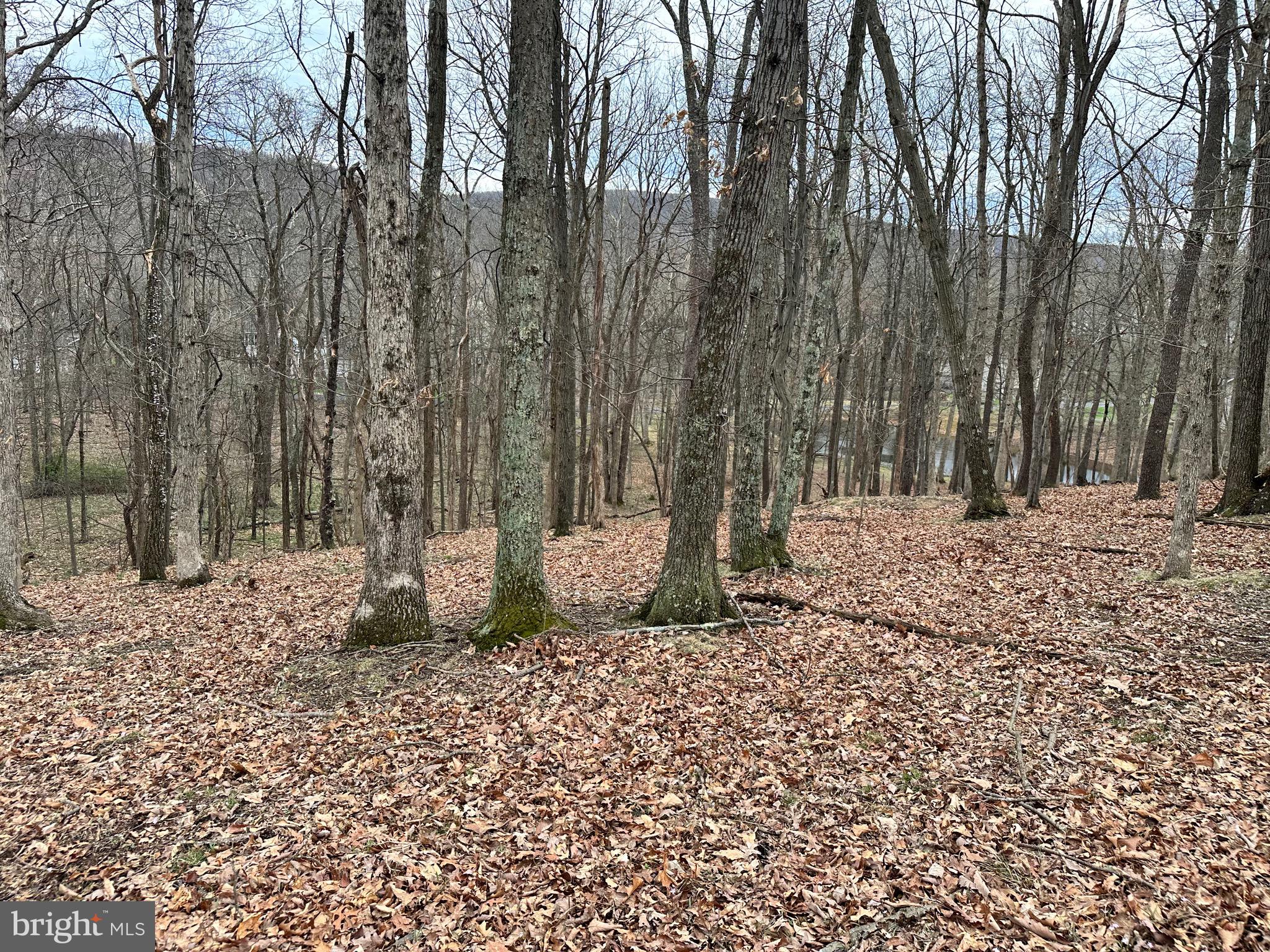 TIMBERLAKE ESTATES - Land