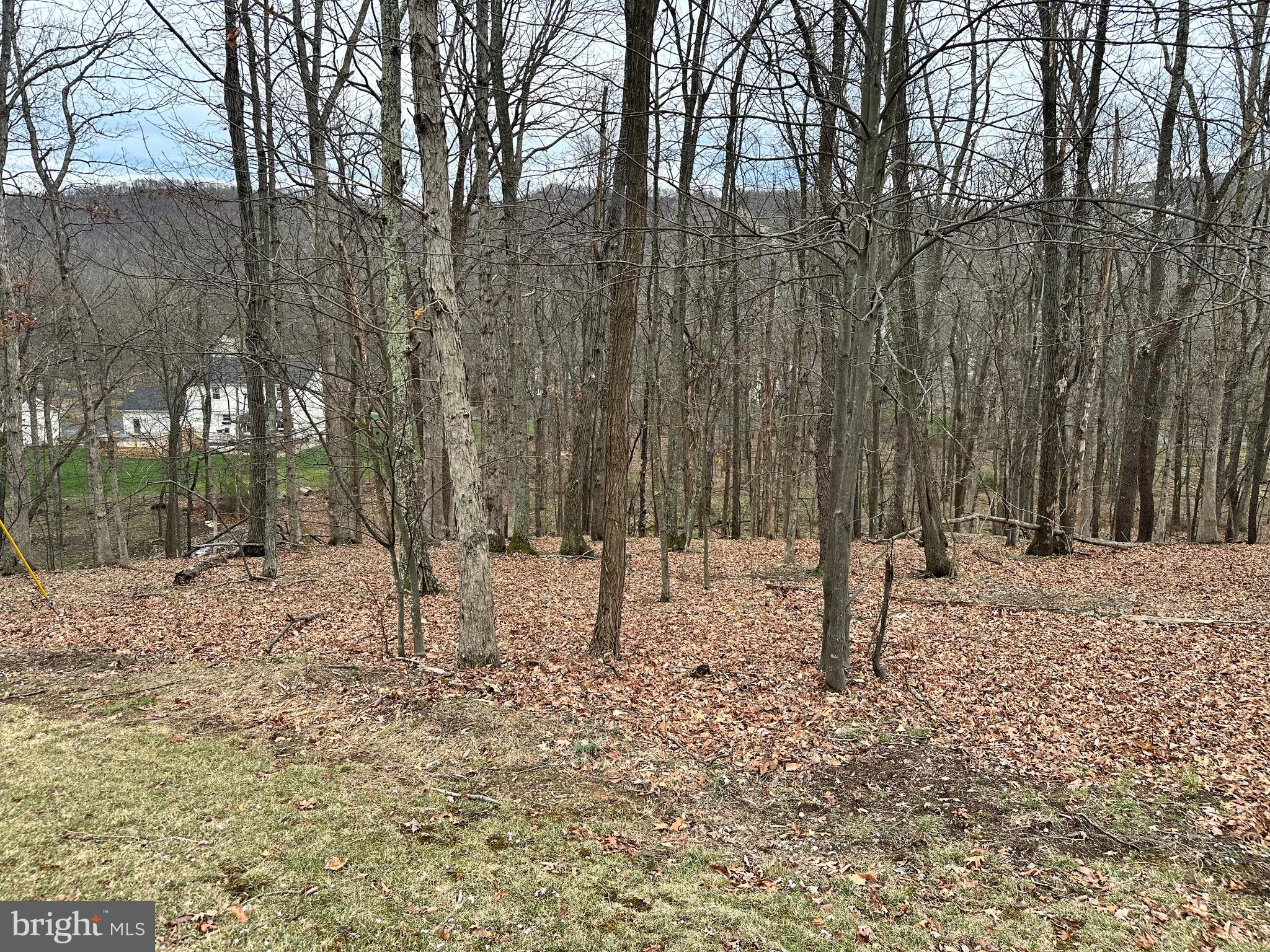 TIMBERLAKE ESTATES - Land