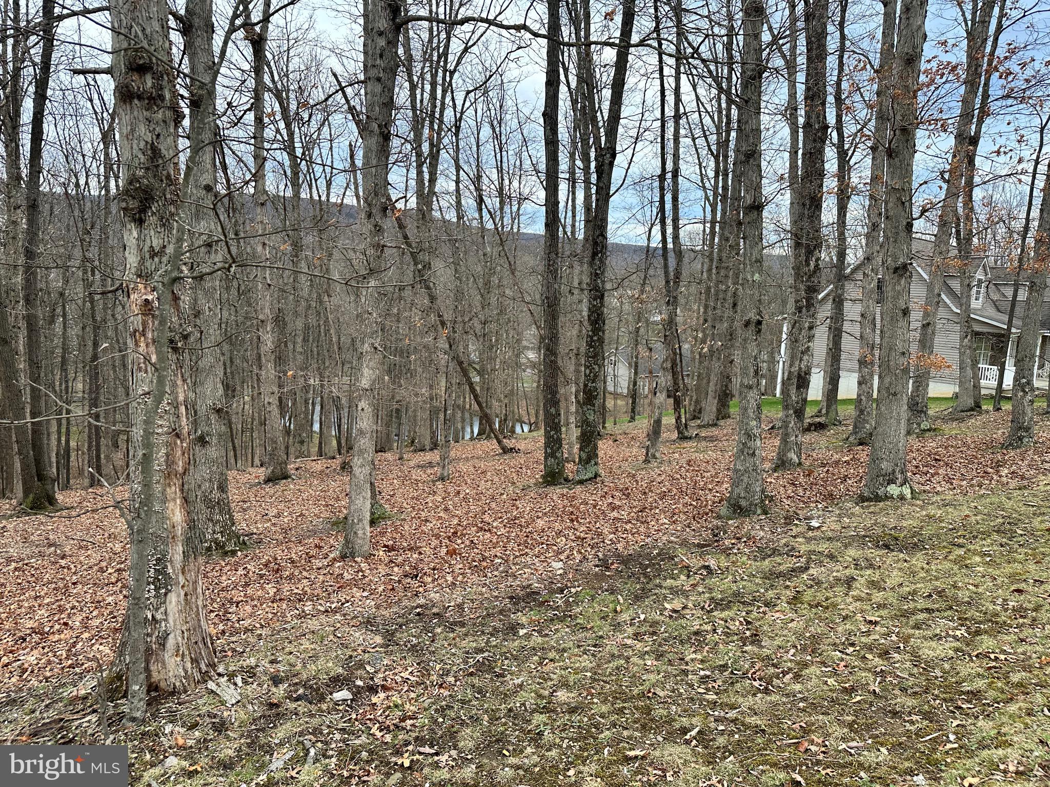 TIMBERLAKE ESTATES - Land