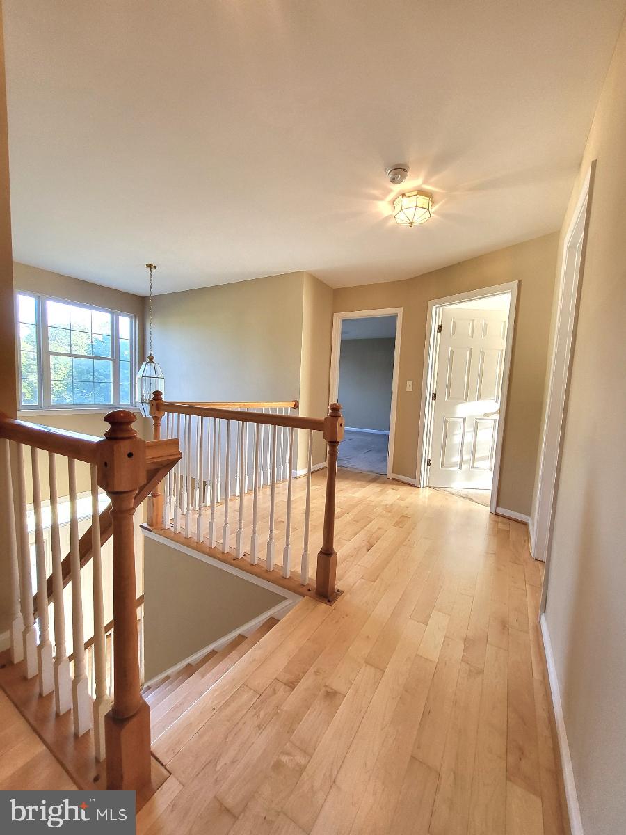 ASHFORD - Residential