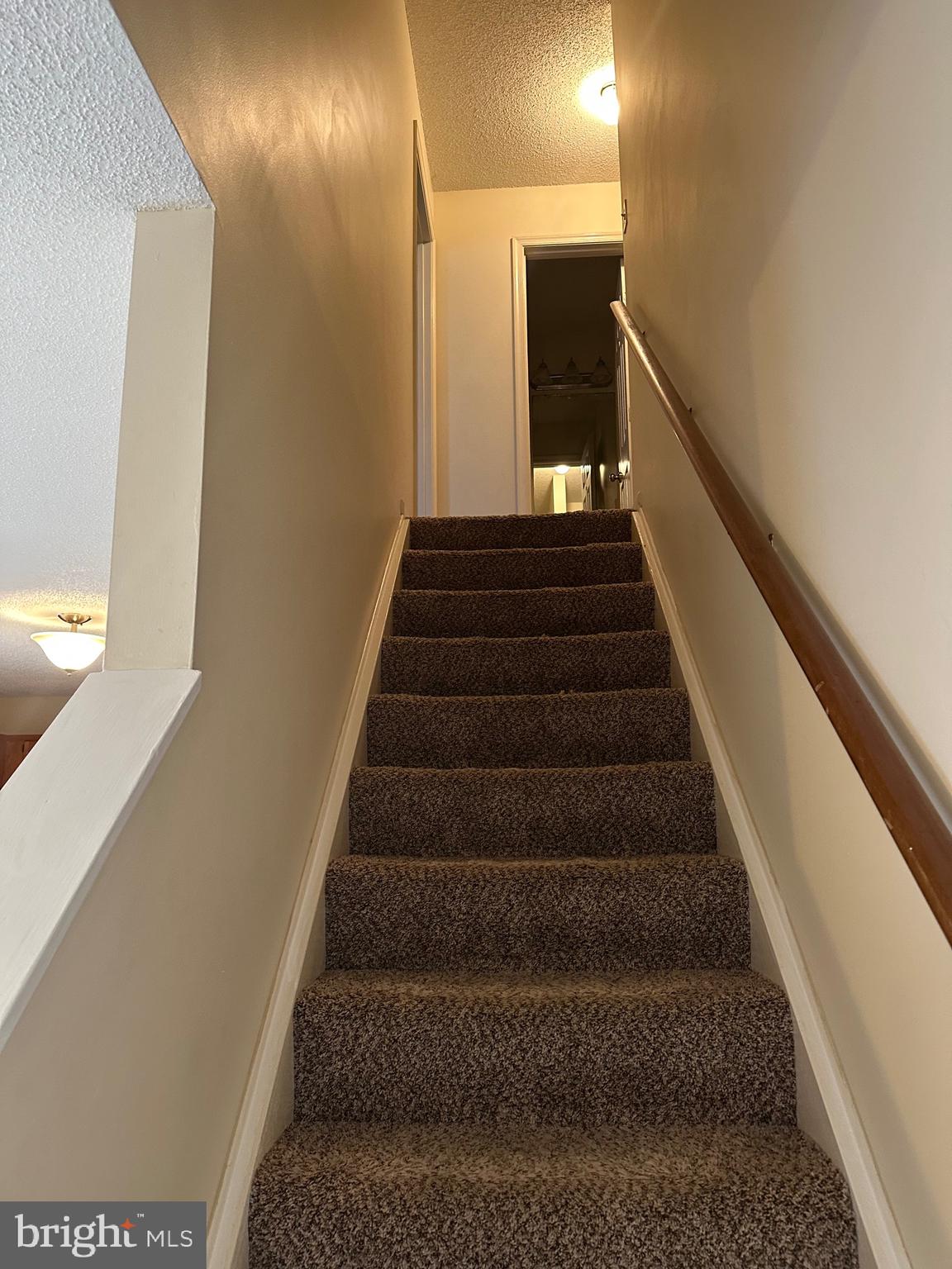 CARLISLE HEIGHTS - Residential Lease