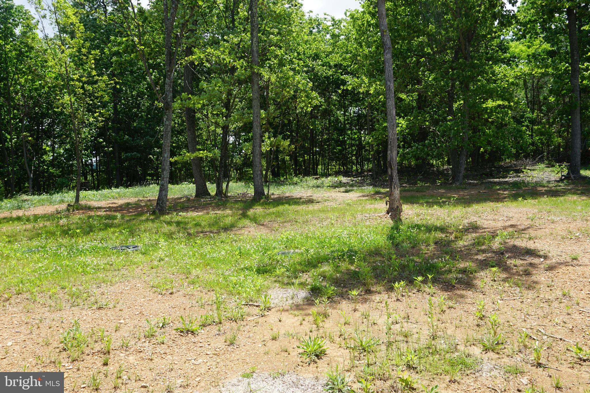 CHESTNUT HILL ESTATES - Residential