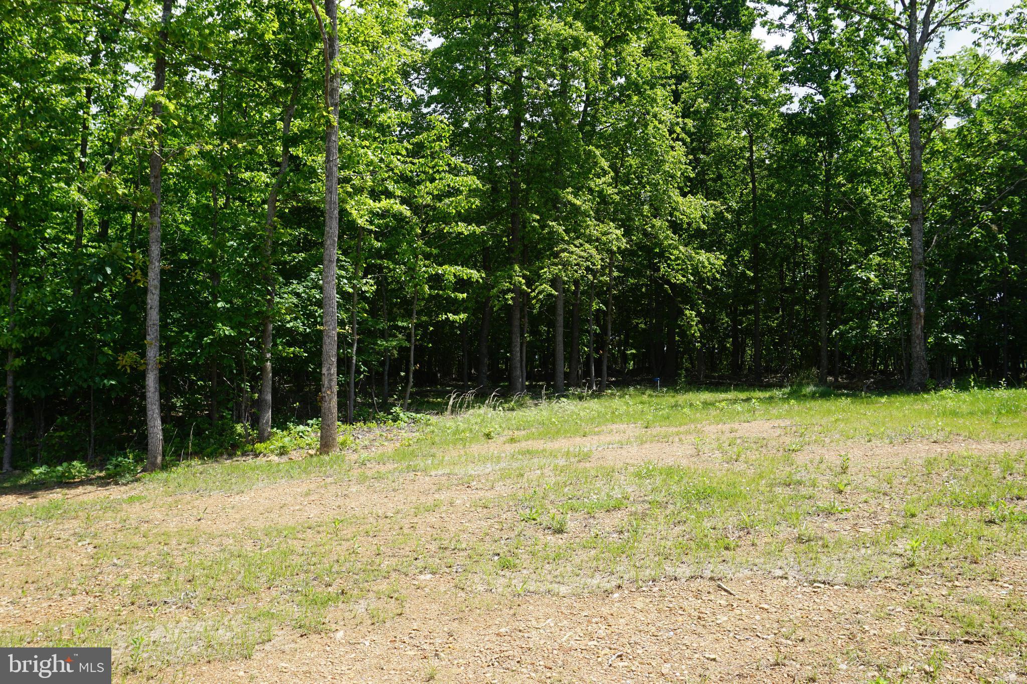 CHESTNUT HILL ESTATES - Residential