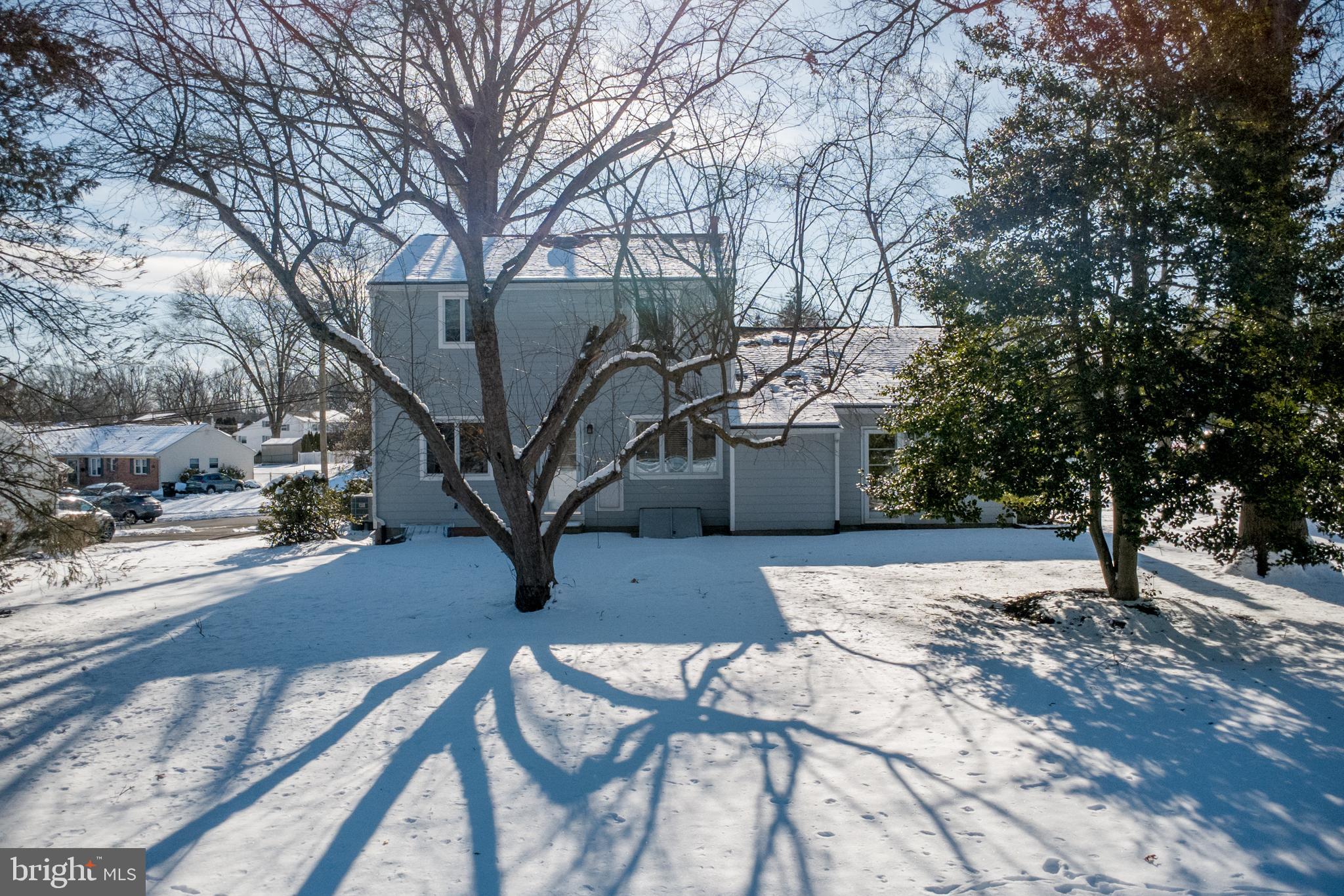 PALOMINO FARMS - Residential